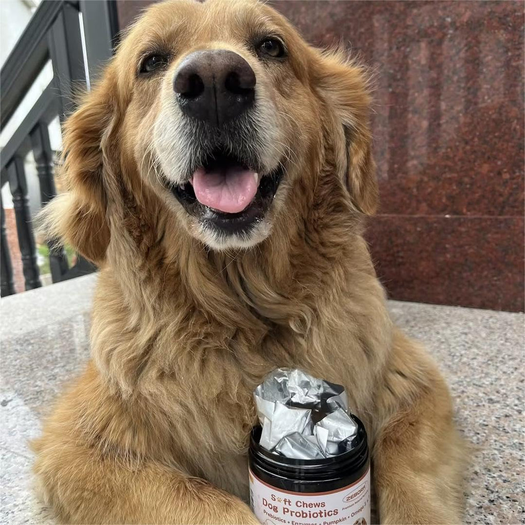 Dog Probiotics with Pumpkin & Fish Oil