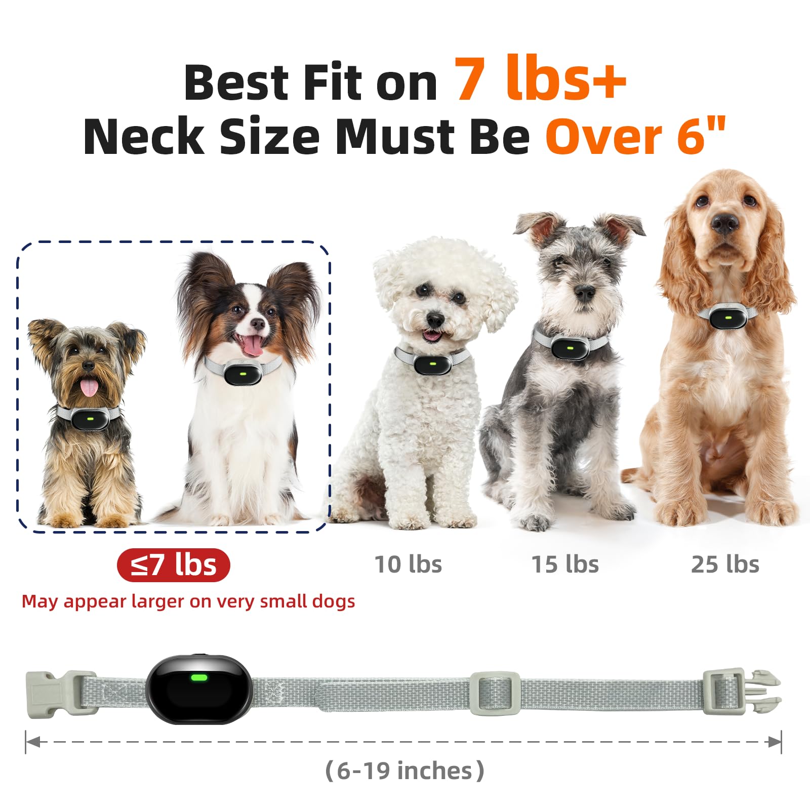 Remote Training Collar for Small Dogs