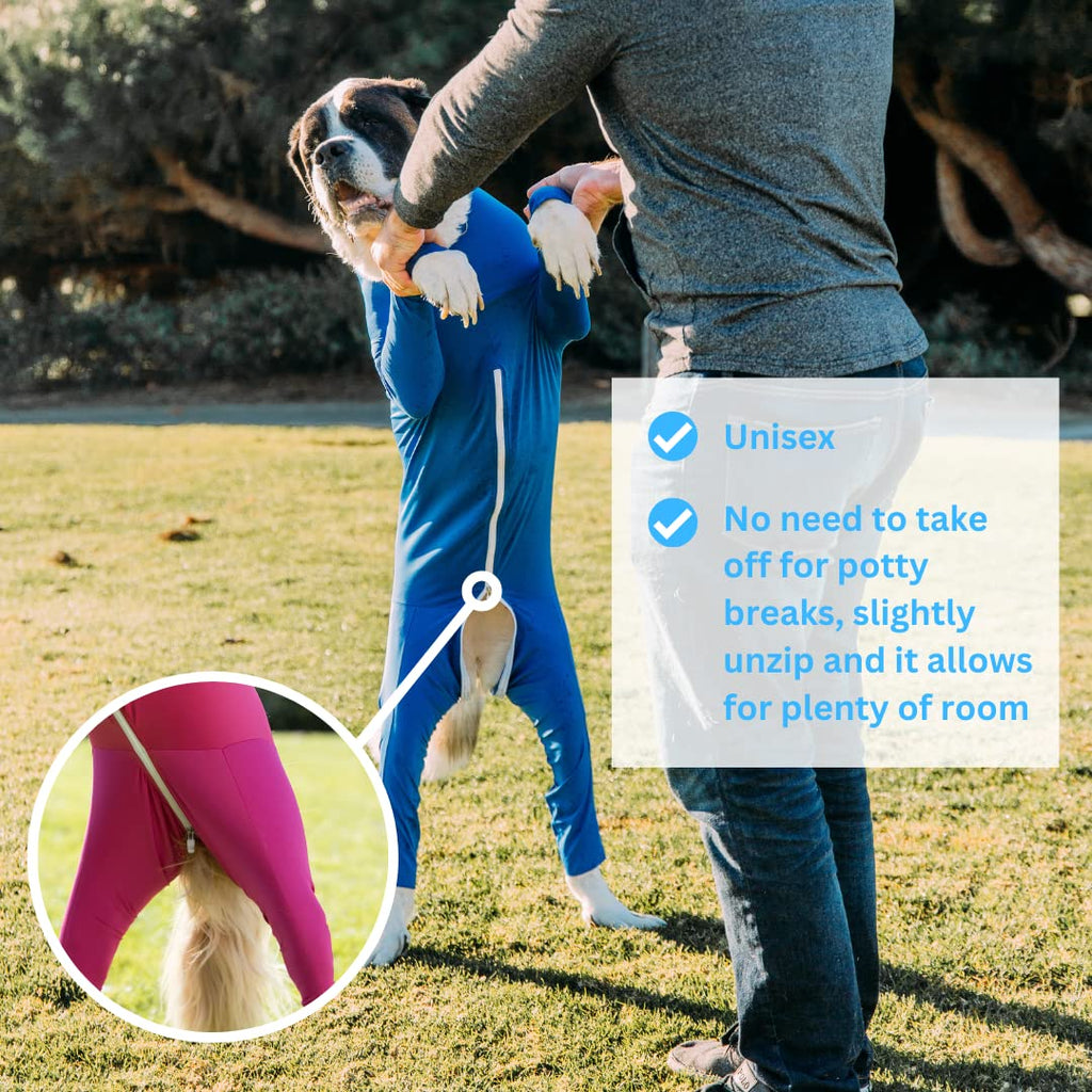 Dog Recovery Onesie