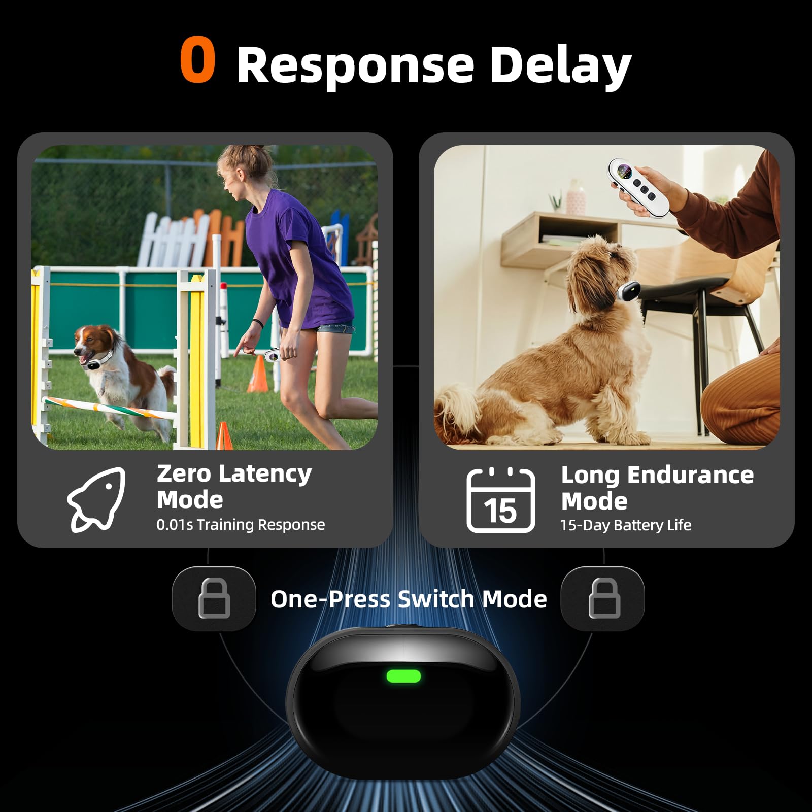 Remote Training Collar for Small Dogs