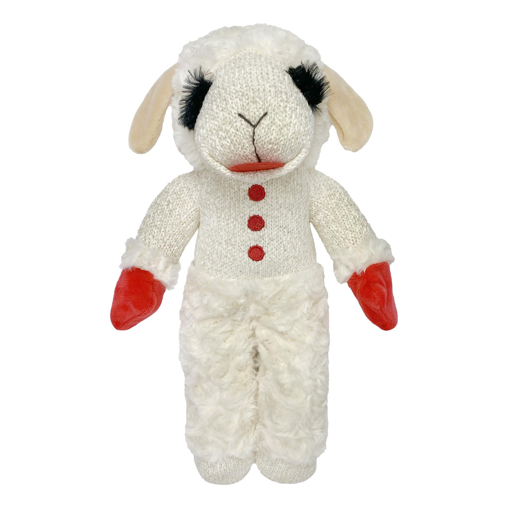 Squeaky Plush Dog Toy