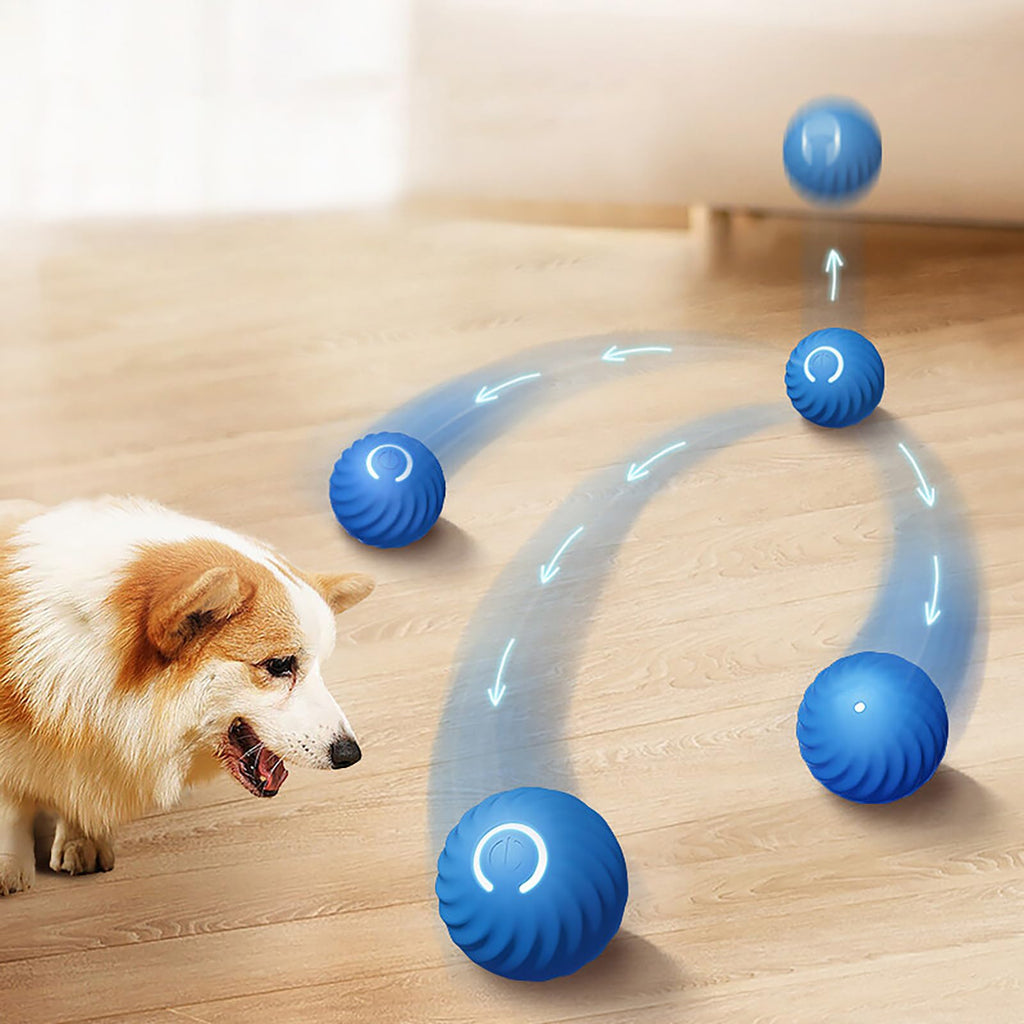 Smart Interactive Dog Ball Toy