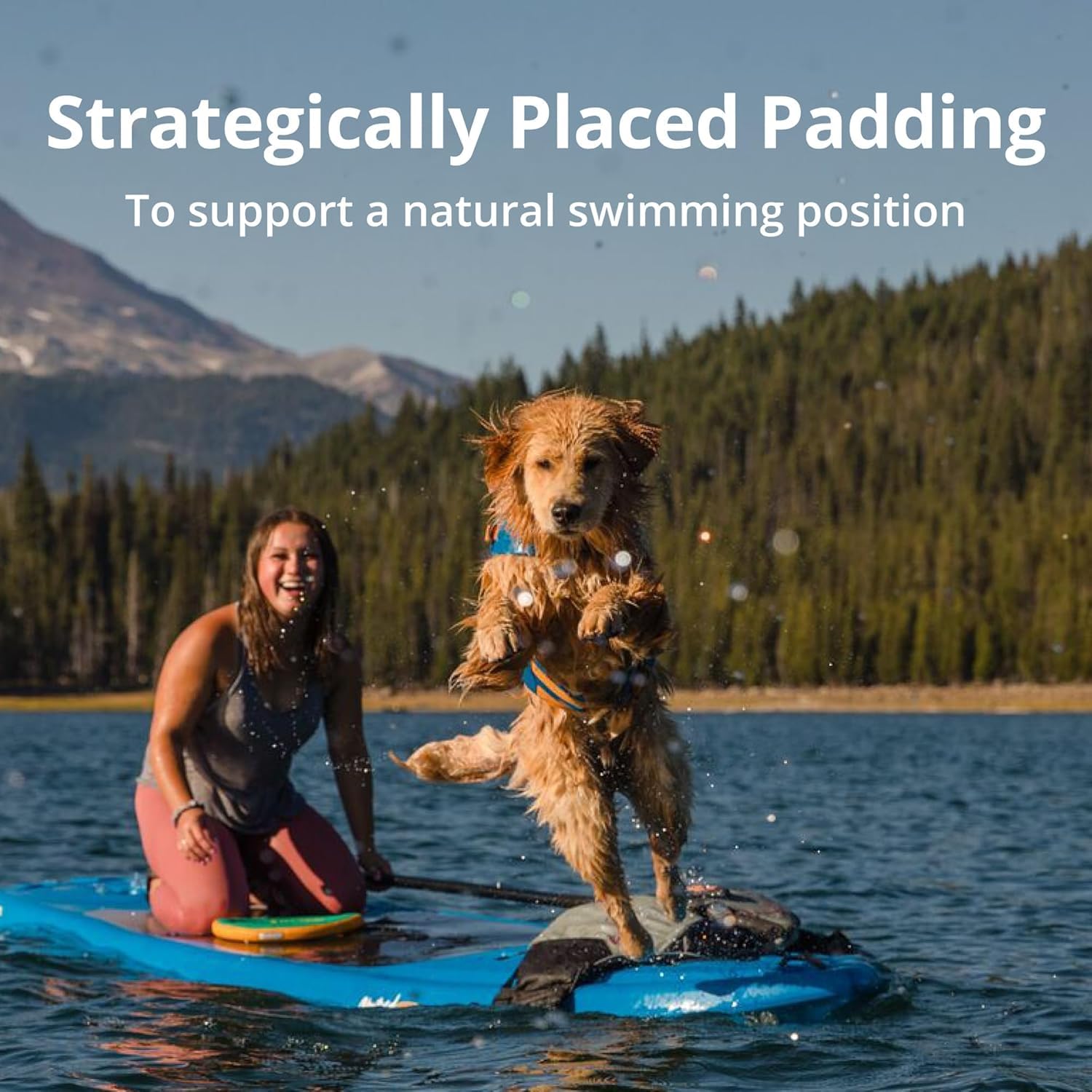 Dog Life Jacket with Handle