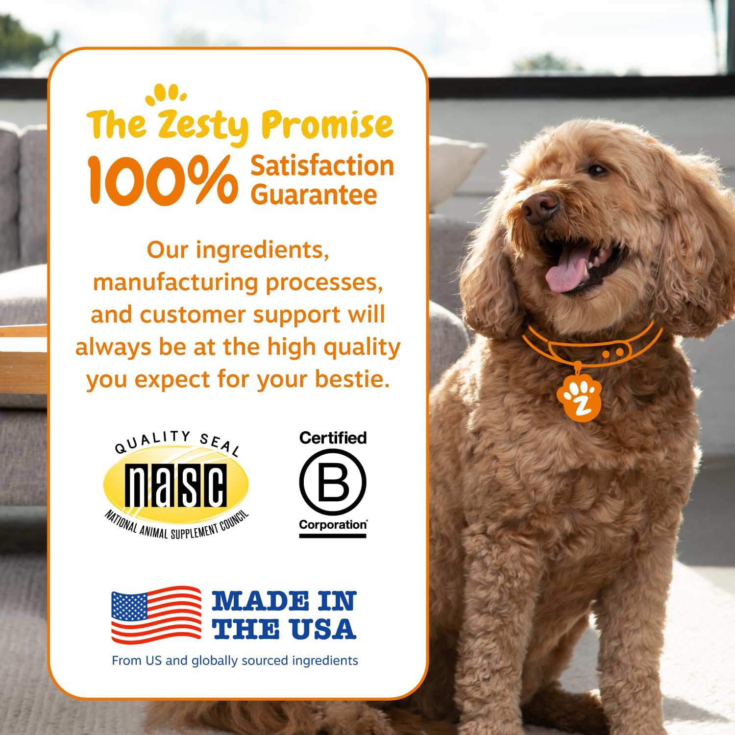 Probiotic & Digestive Enzyme Dog Chews