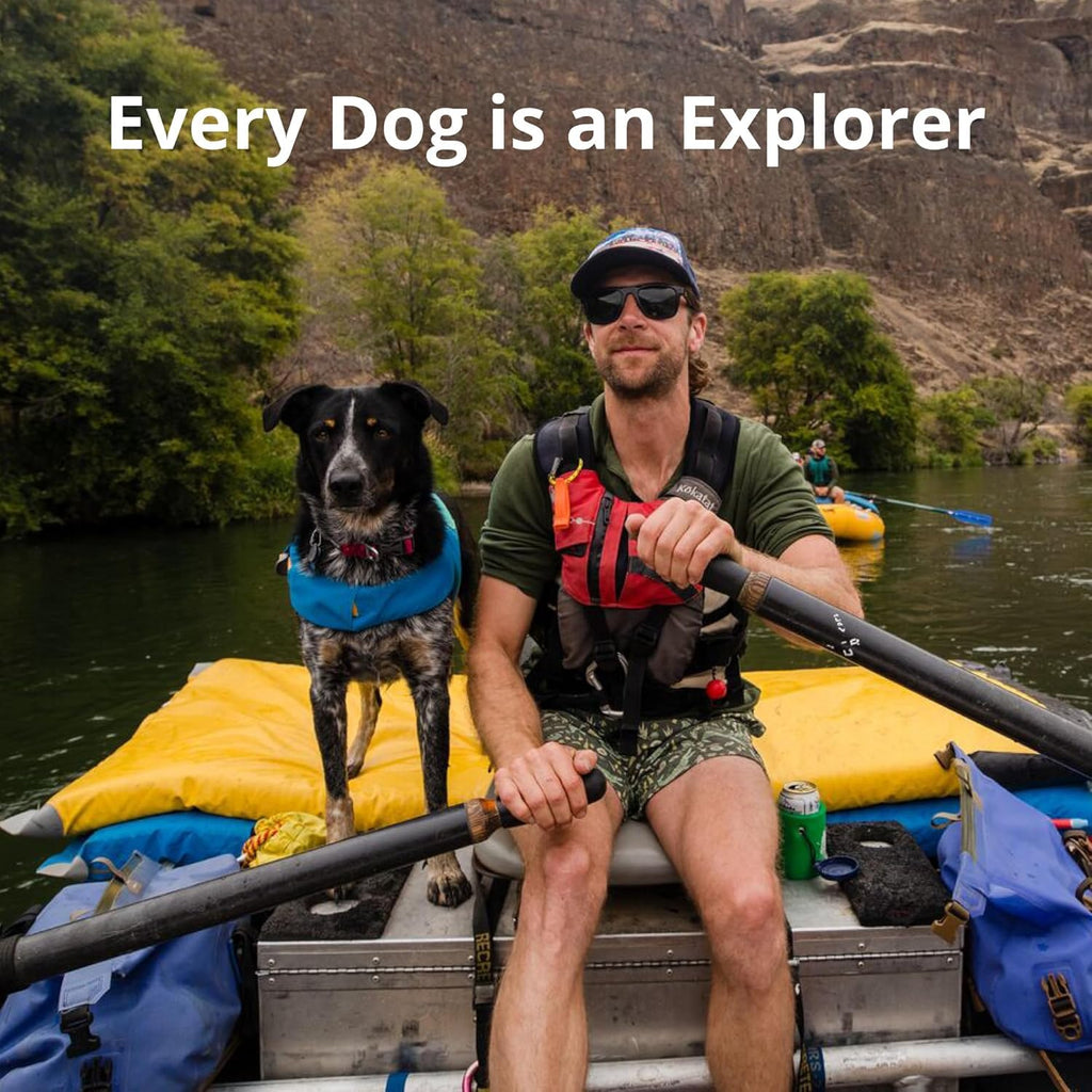 Dog Life Jacket with Handle