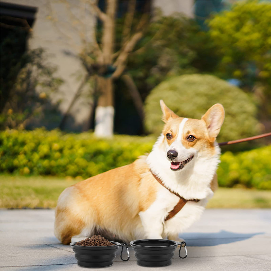 Collapsible Travel Pet Bowls Set