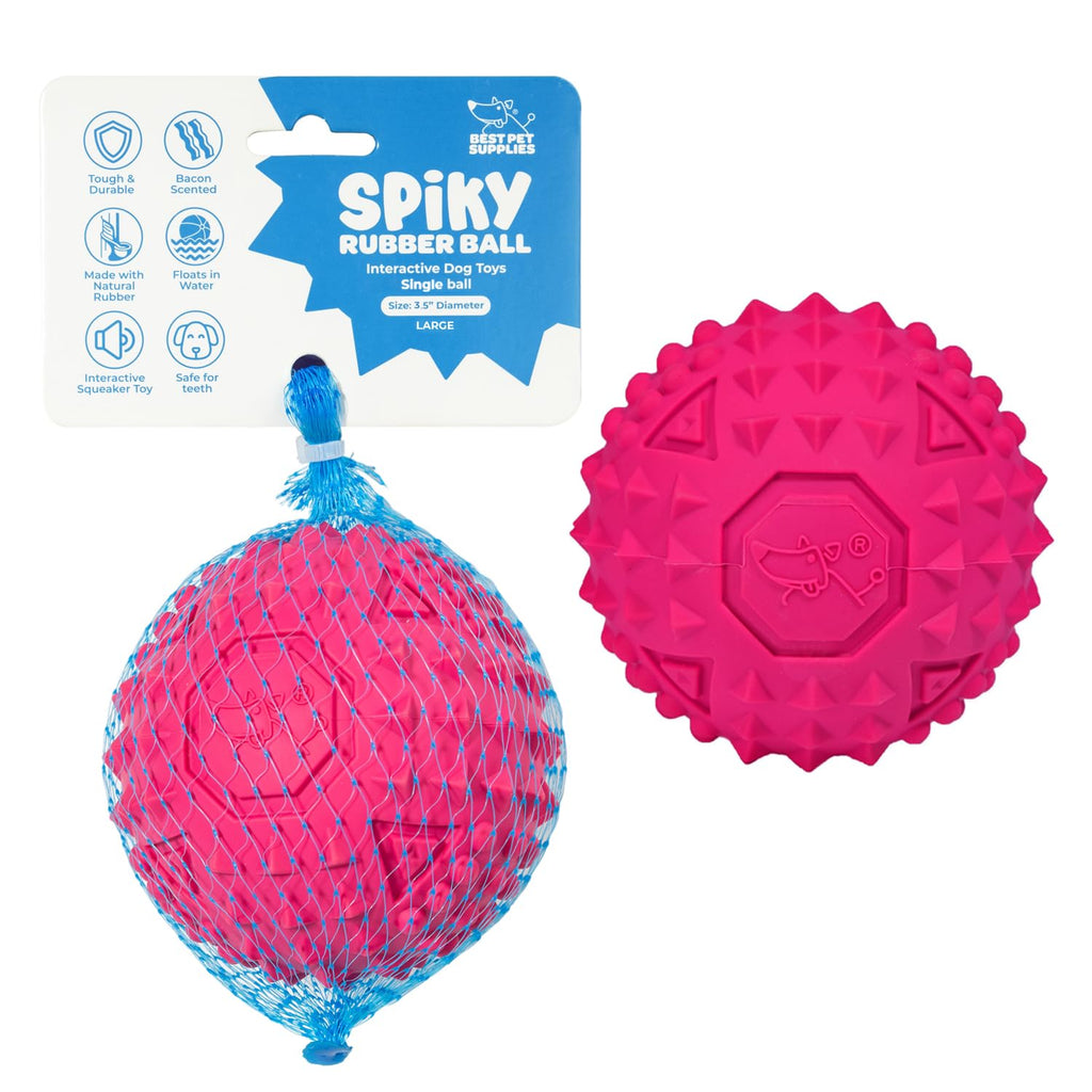 Squeaky Fabric Dog Toy
