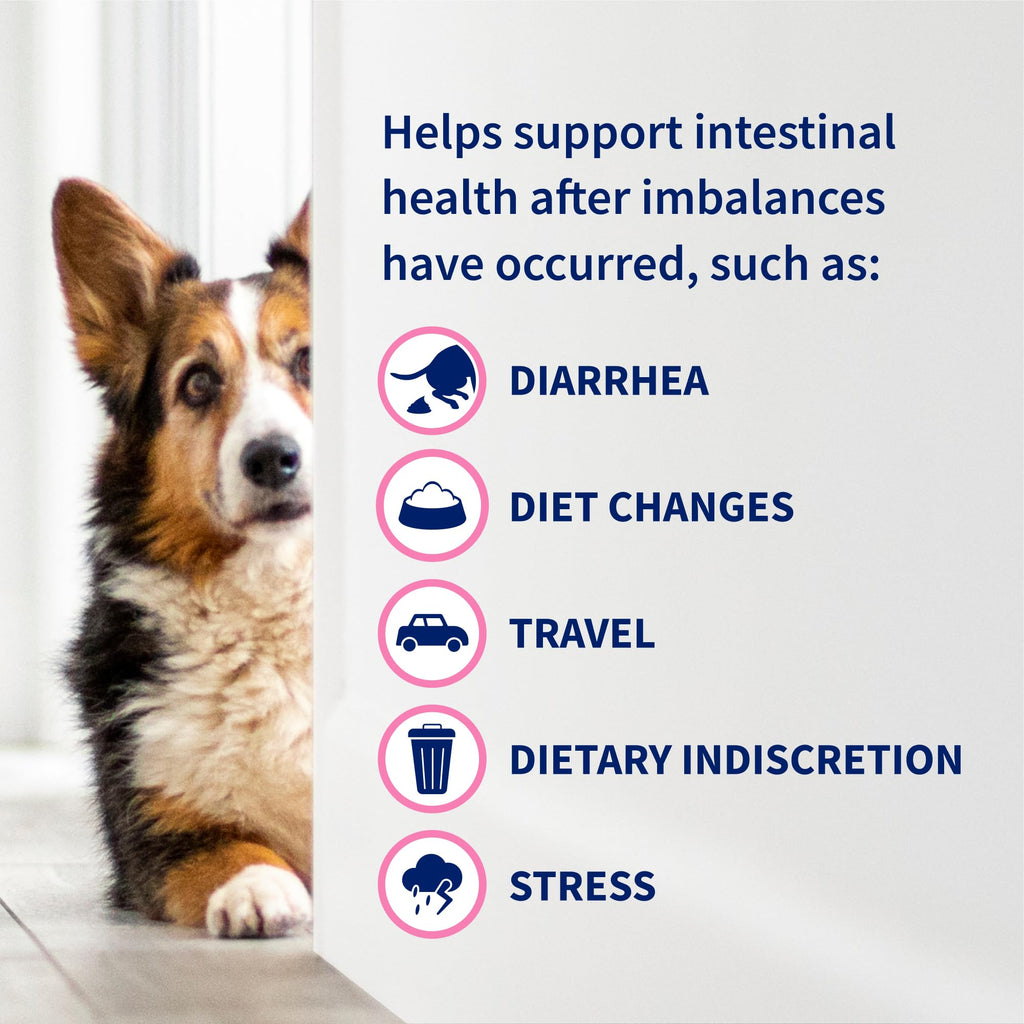 Probiotic Health Supplement for Pets