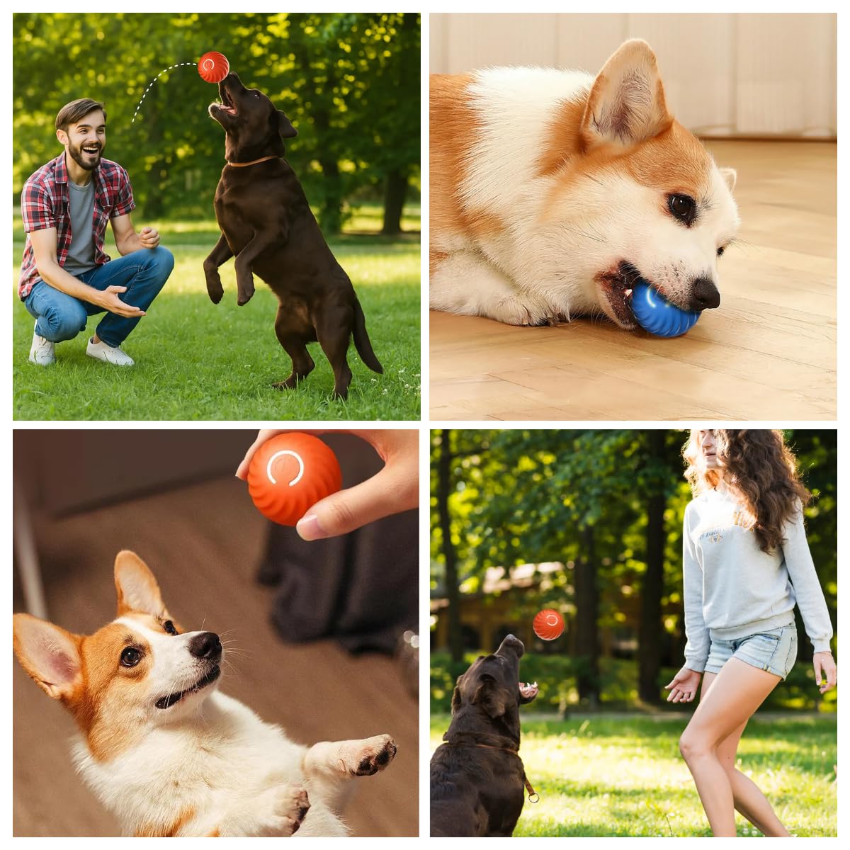 Smart Interactive Dog Ball Toy