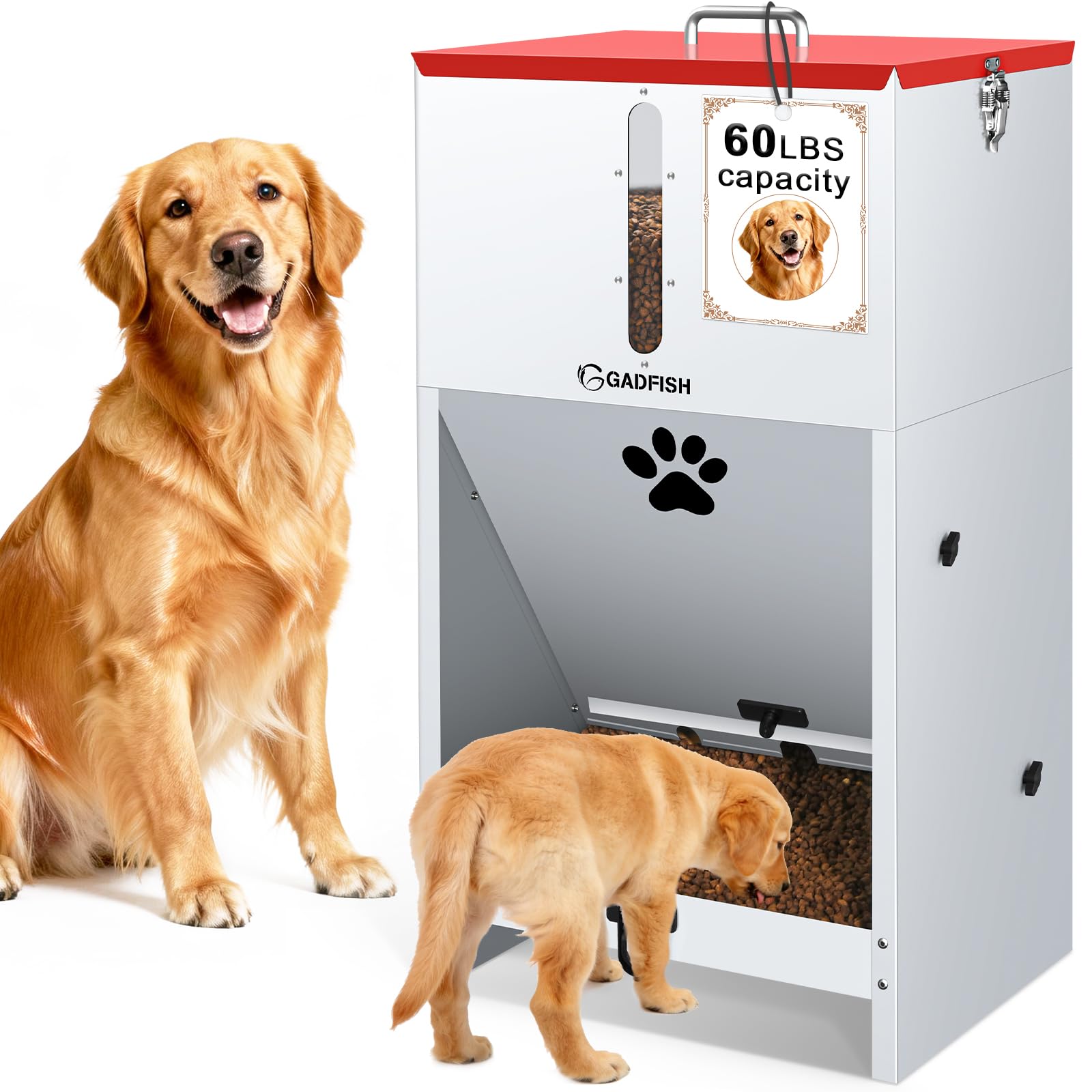 Large Automatic Dog Feeder