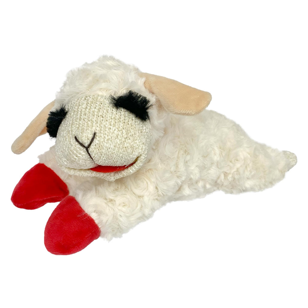 Squeaky Plush Dog Toy