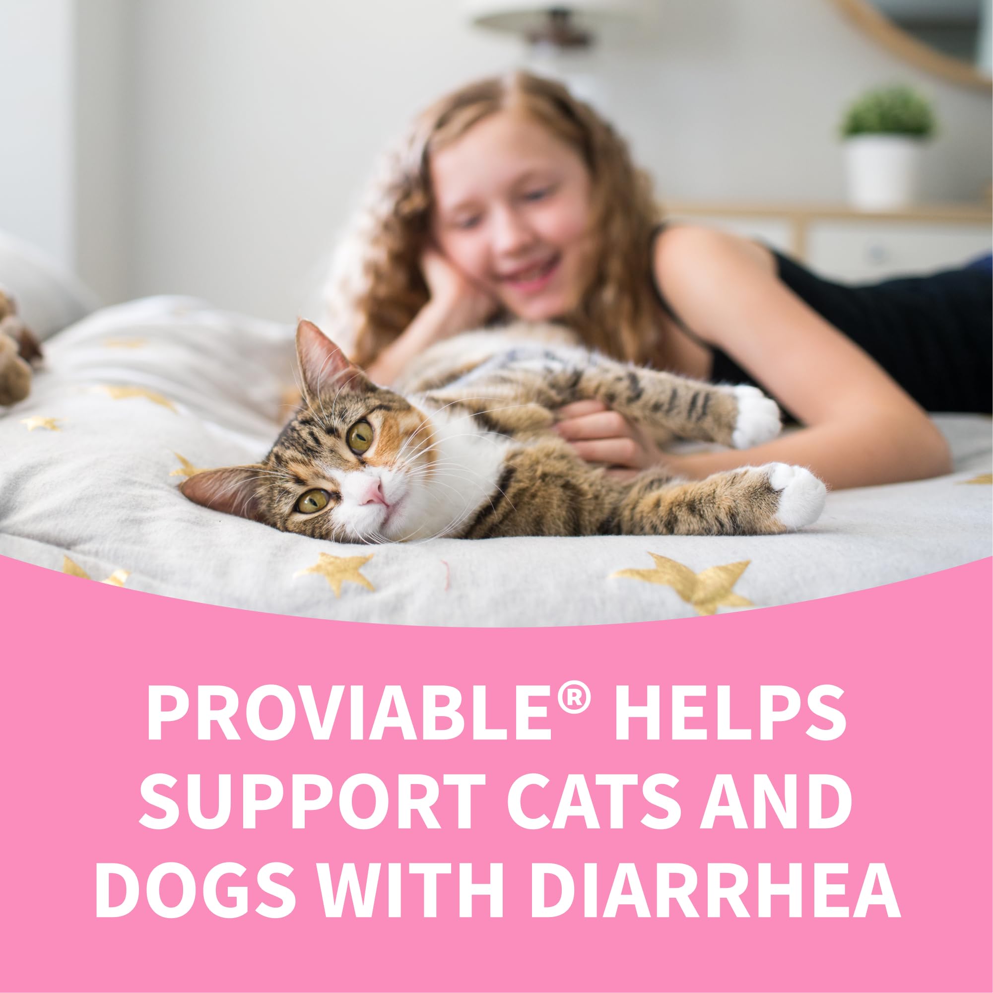 Probiotic Health Supplement for Pets