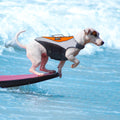 Reflective Dog Life Jacket