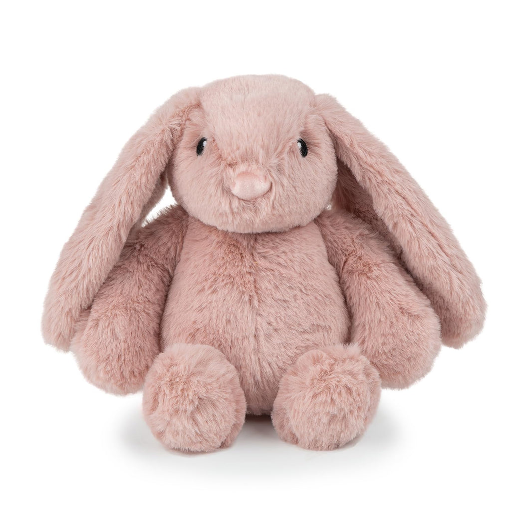 Interactive Squeaky Dog Toy