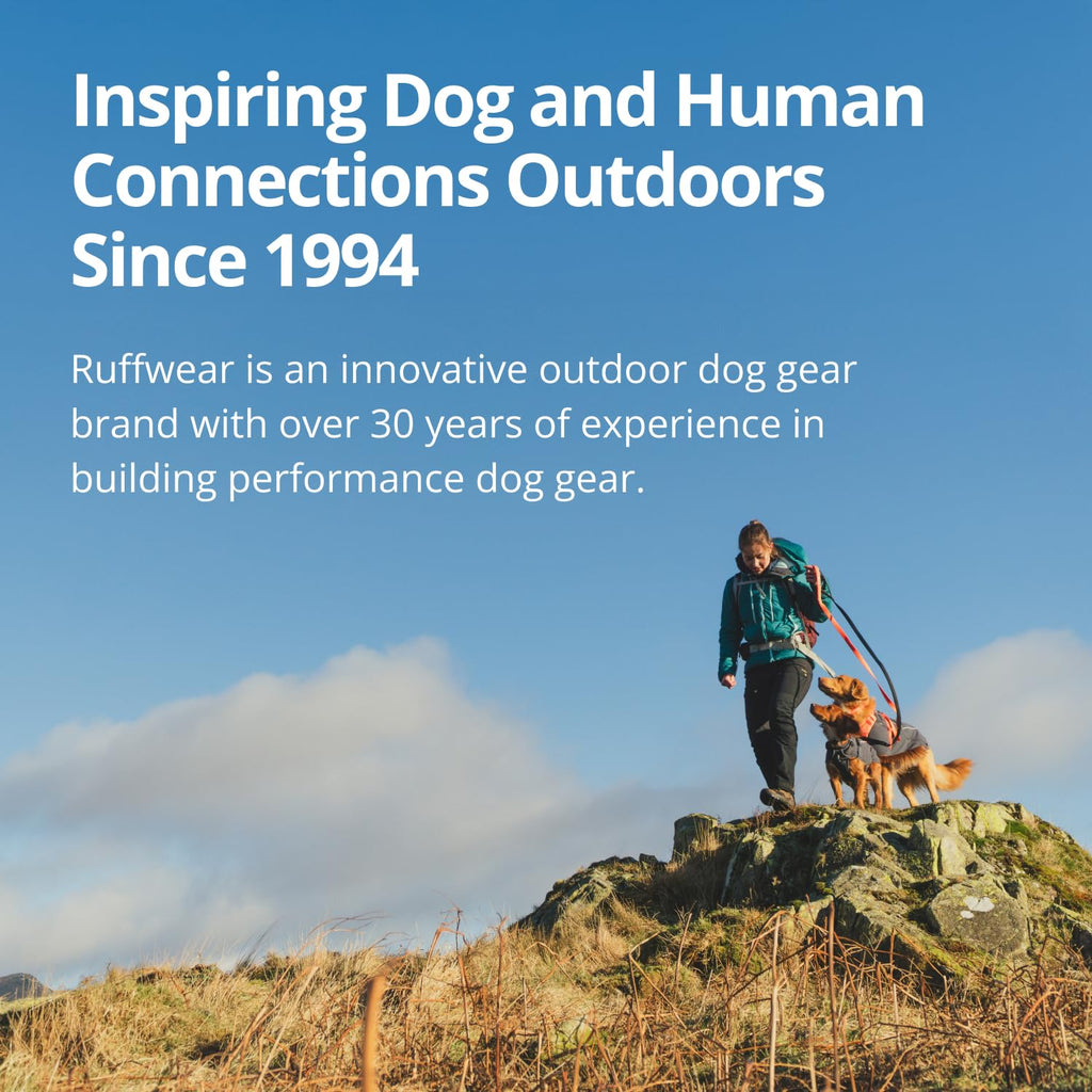 Waterproof Dog Raincoat
