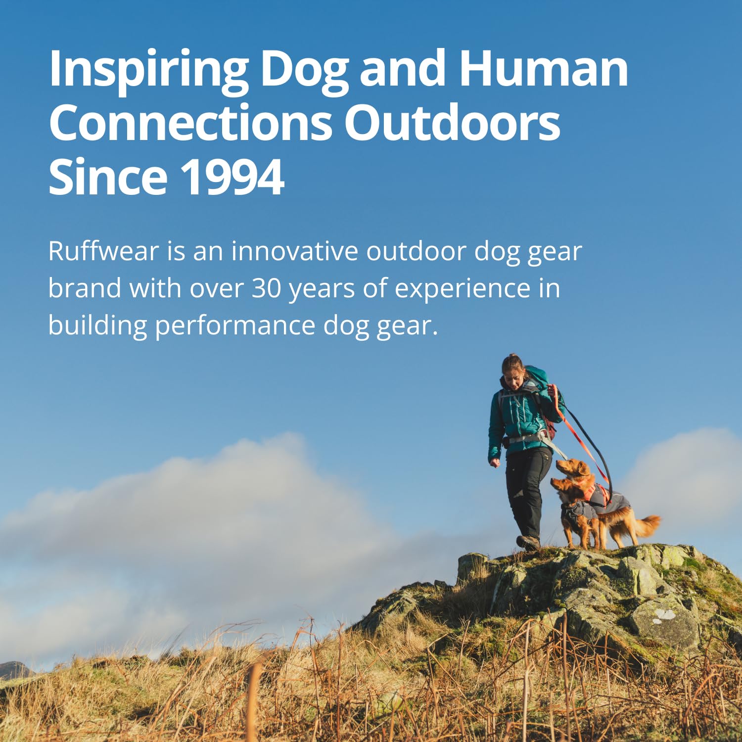 Waterproof Dog Raincoat