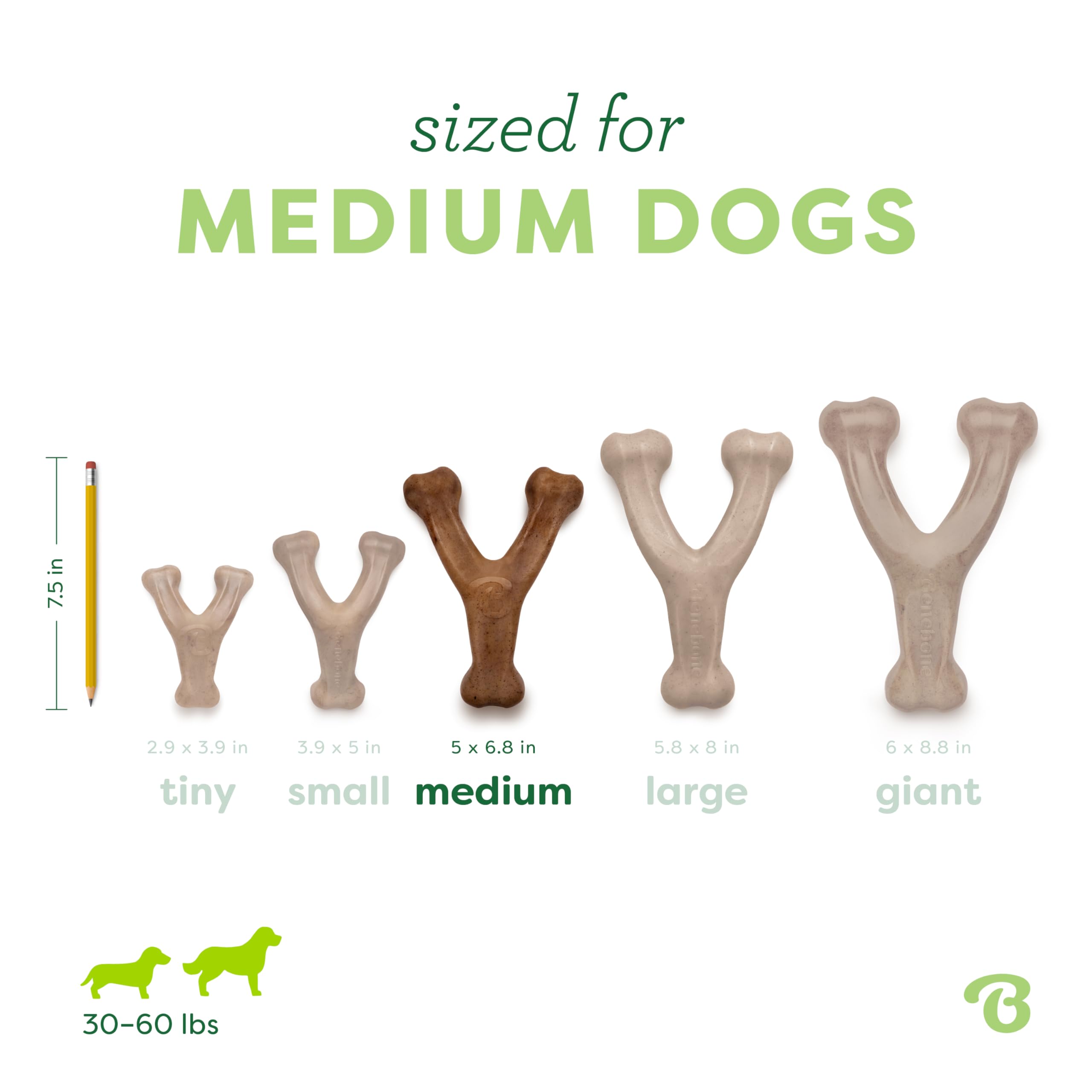 Wishbone Dog Chew Toy