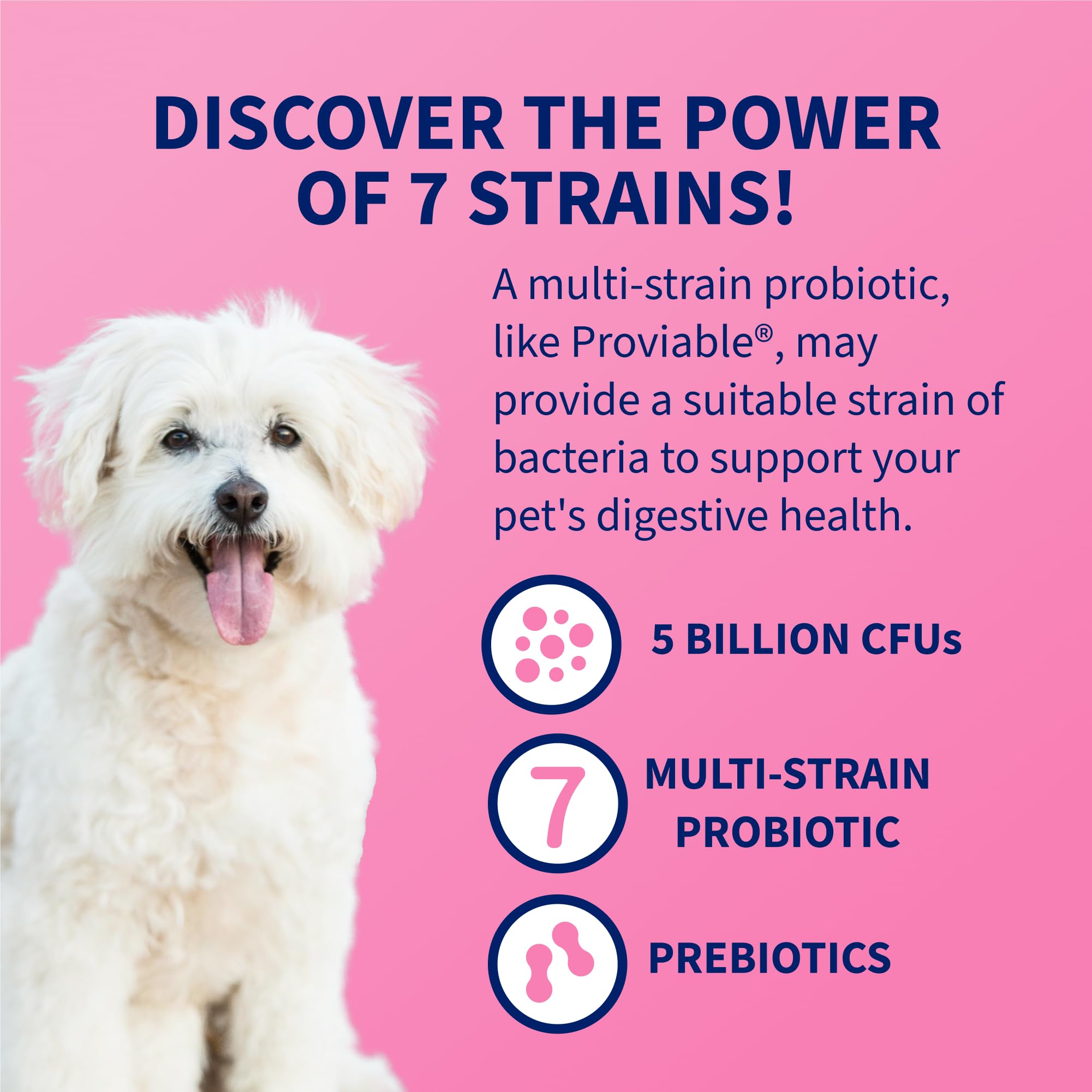 Probiotic Health Supplement for Pets