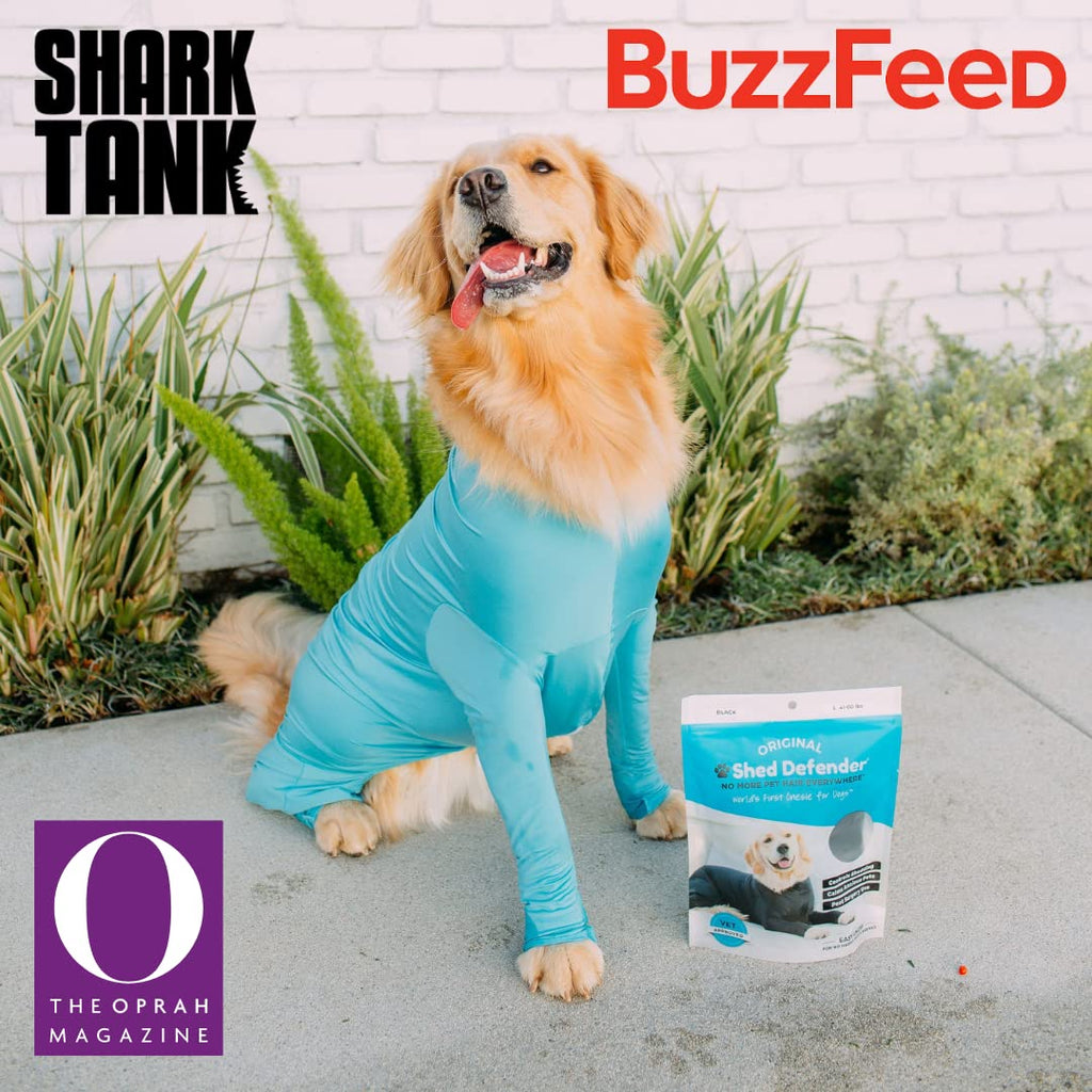 Dog Recovery Onesie