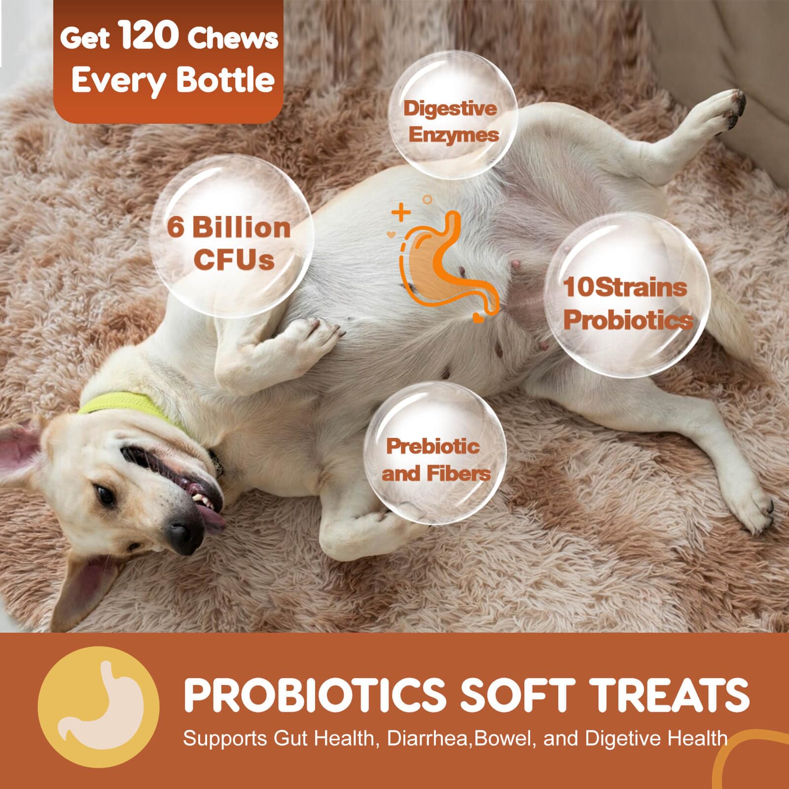 Dog Probiotics with Pumpkin & Fish Oil