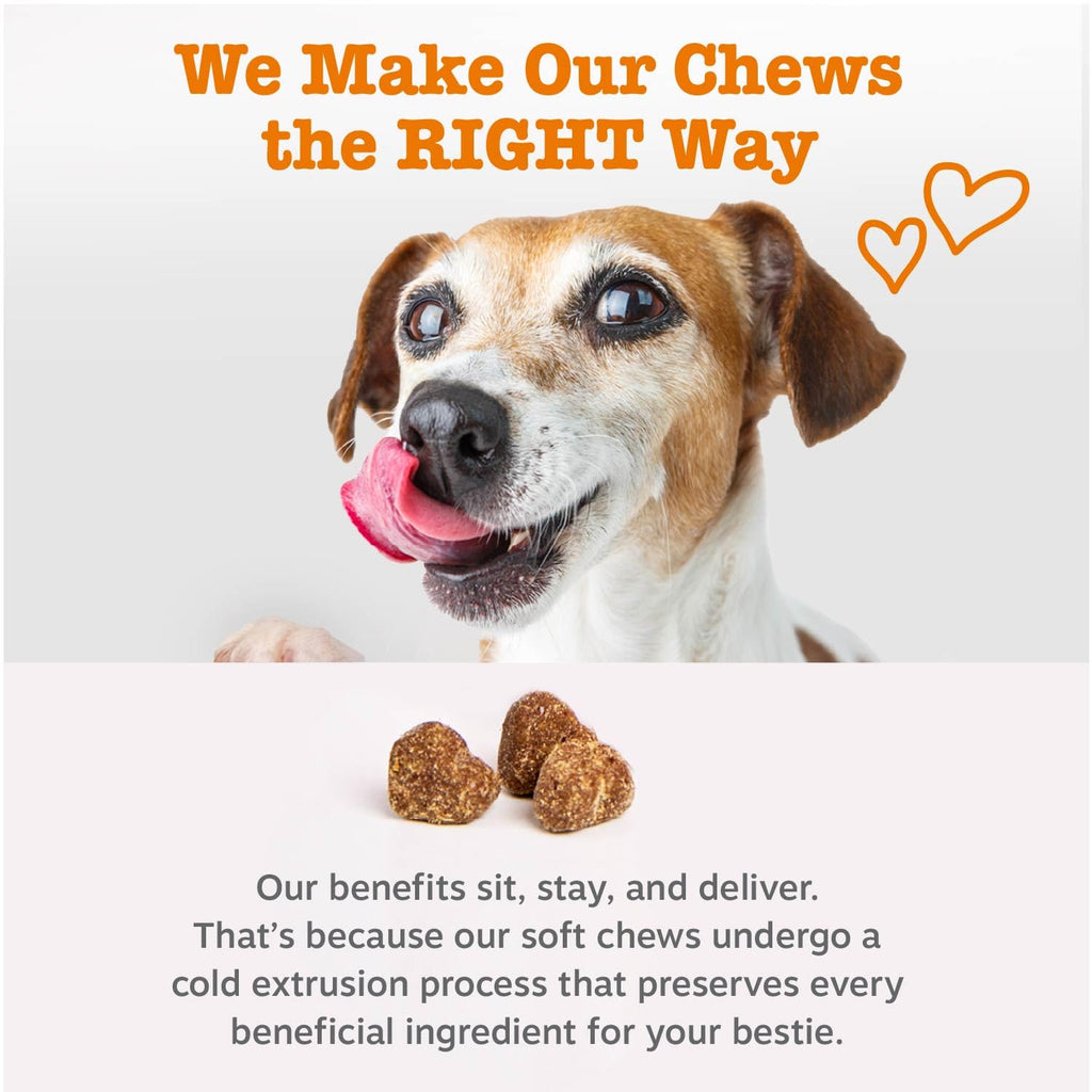 Probiotic & Digestive Enzyme Dog Chews