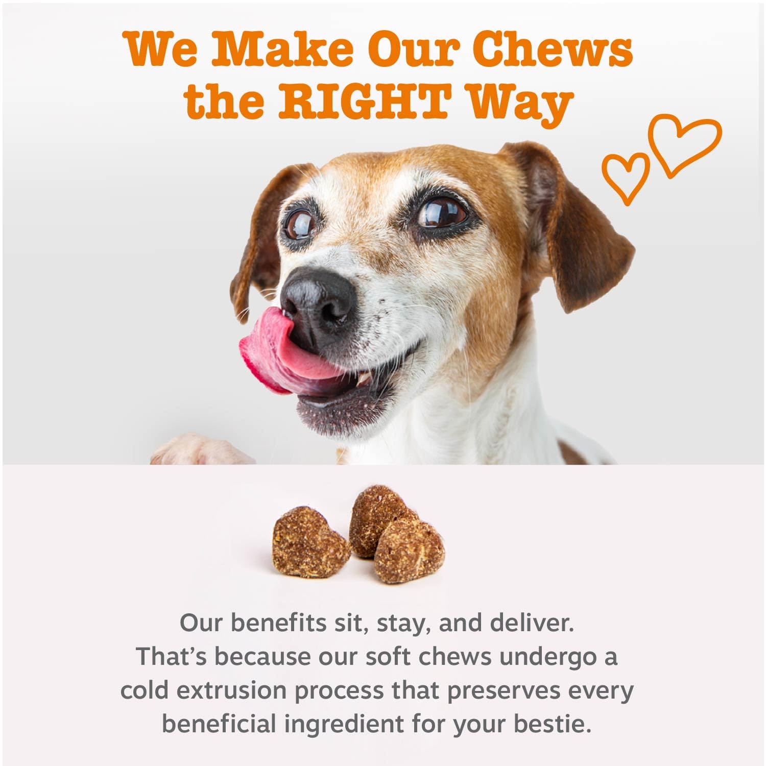 Probiotic & Digestive Enzyme Dog Chews
