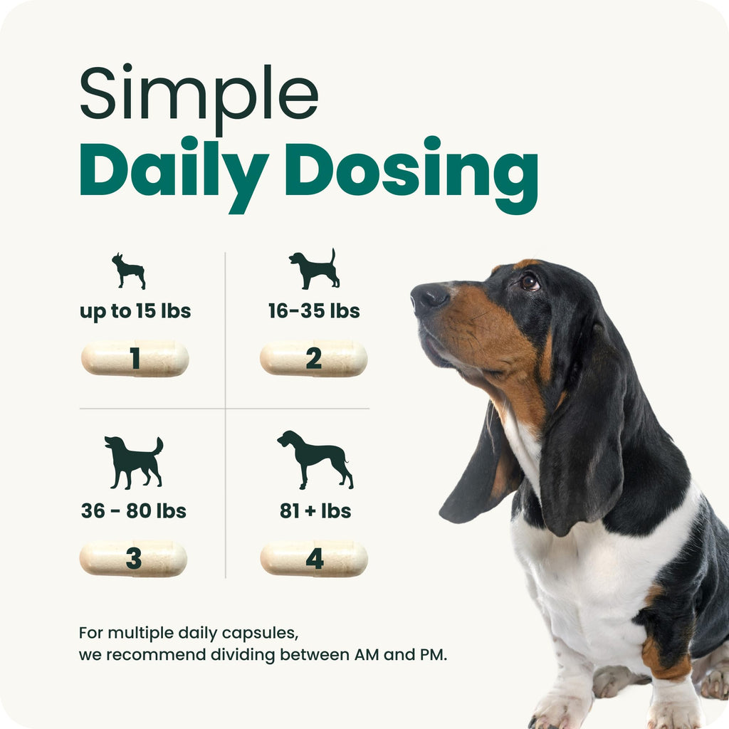 Spine & Disc Support Capsules for Dogs