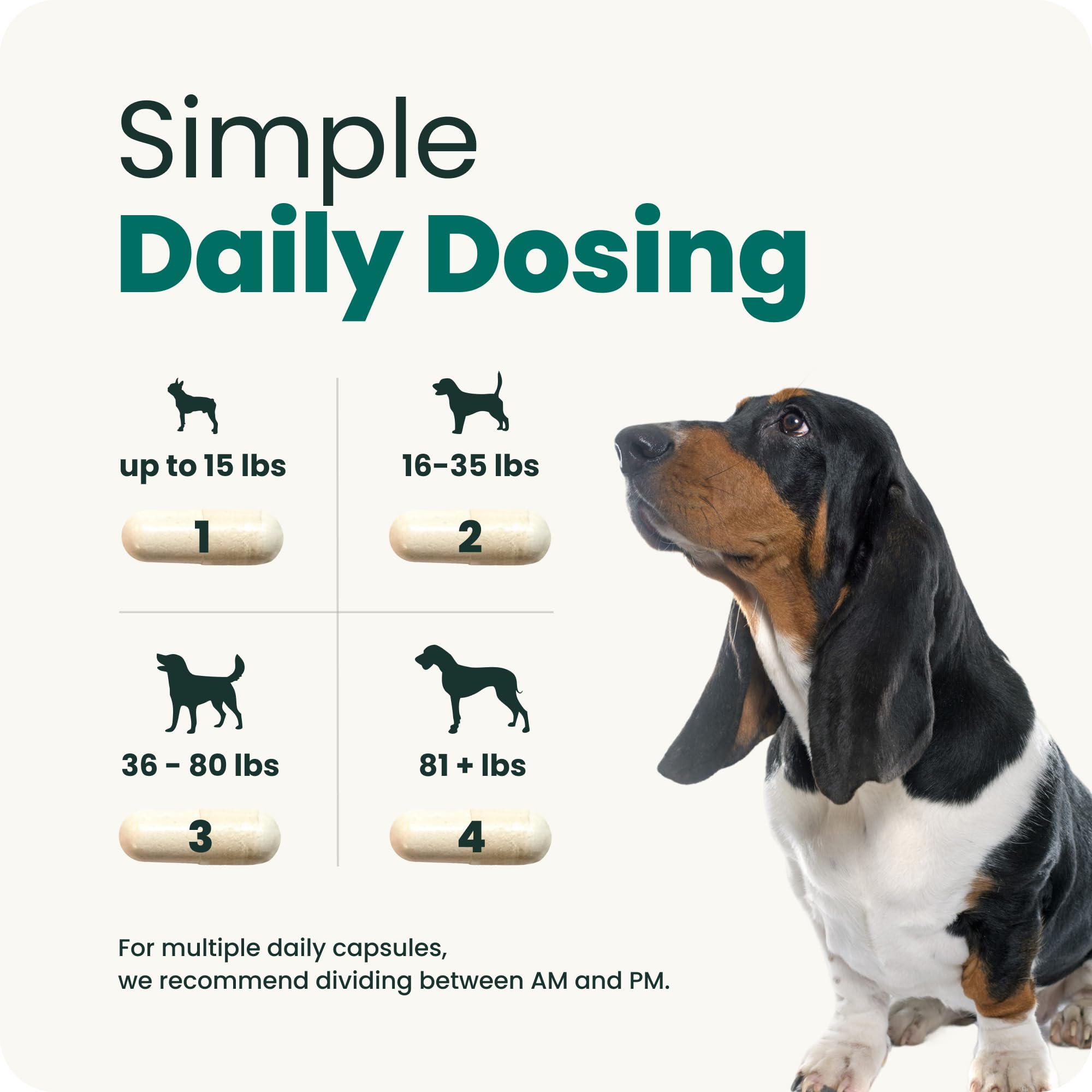 Spine & Disc Support Capsules for Dogs