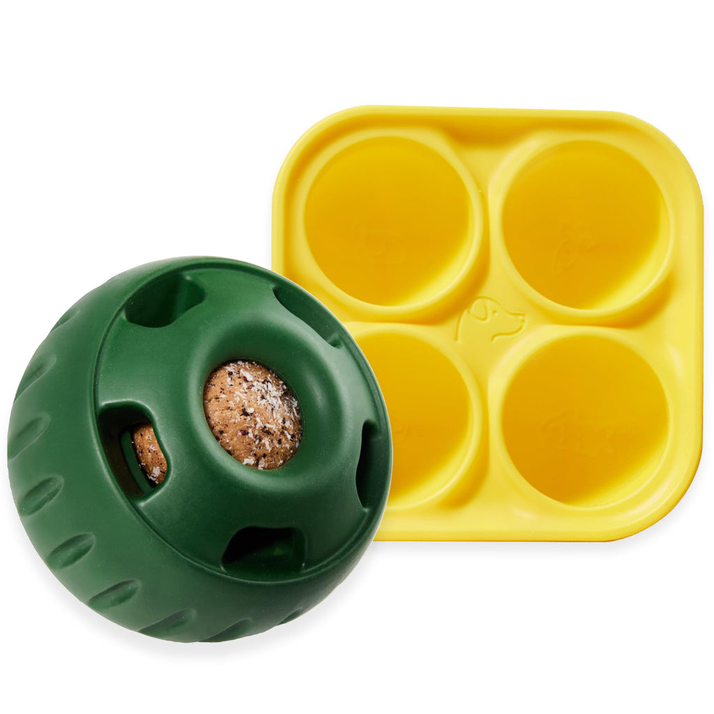 Interactive Treat Ball Toy