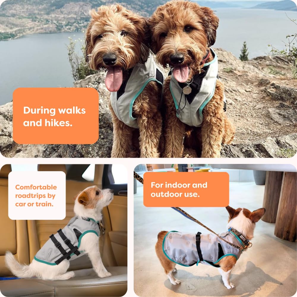 Suitical Dry Cooling Vest Dog