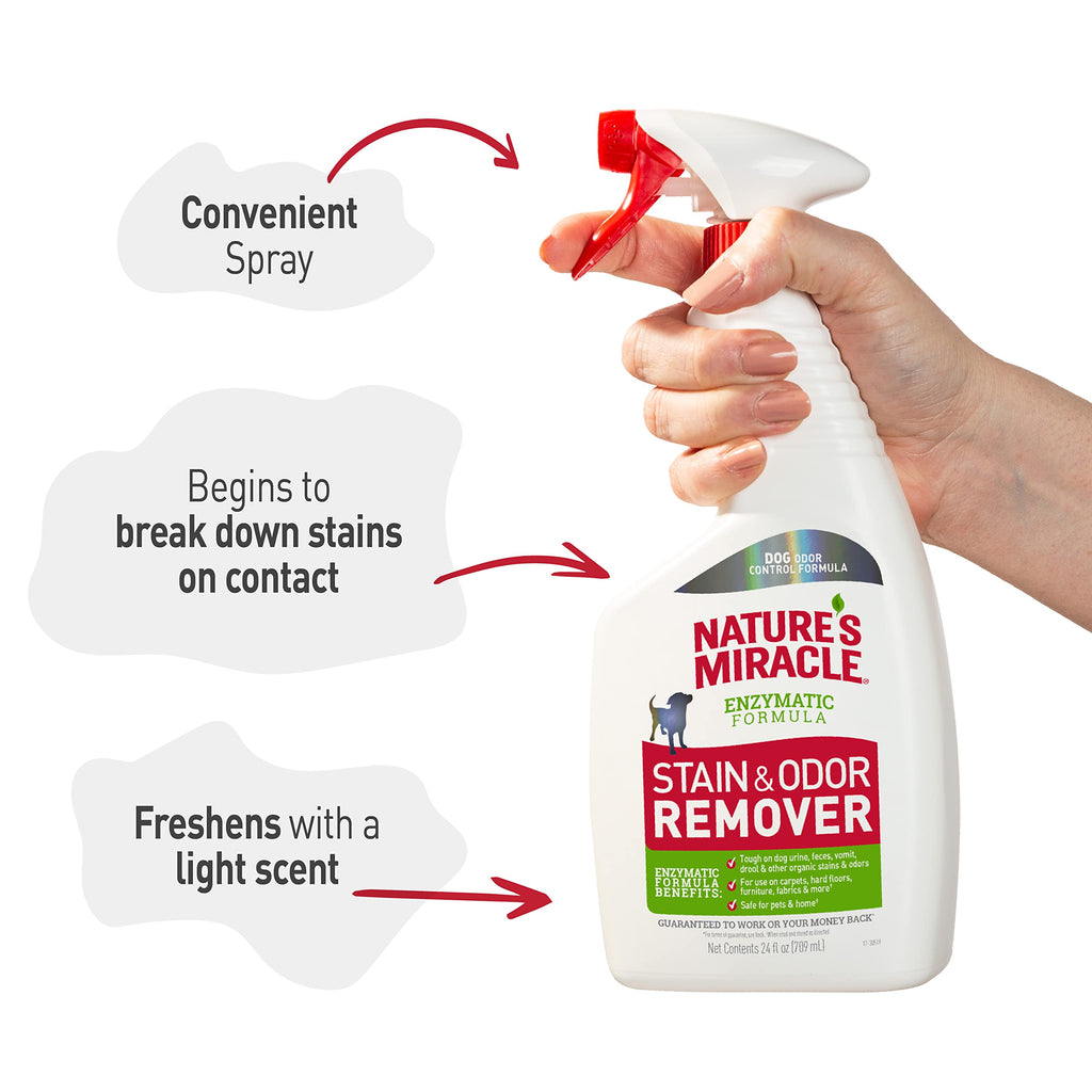 Nature's Miracle Dog Stain and Odor Remover