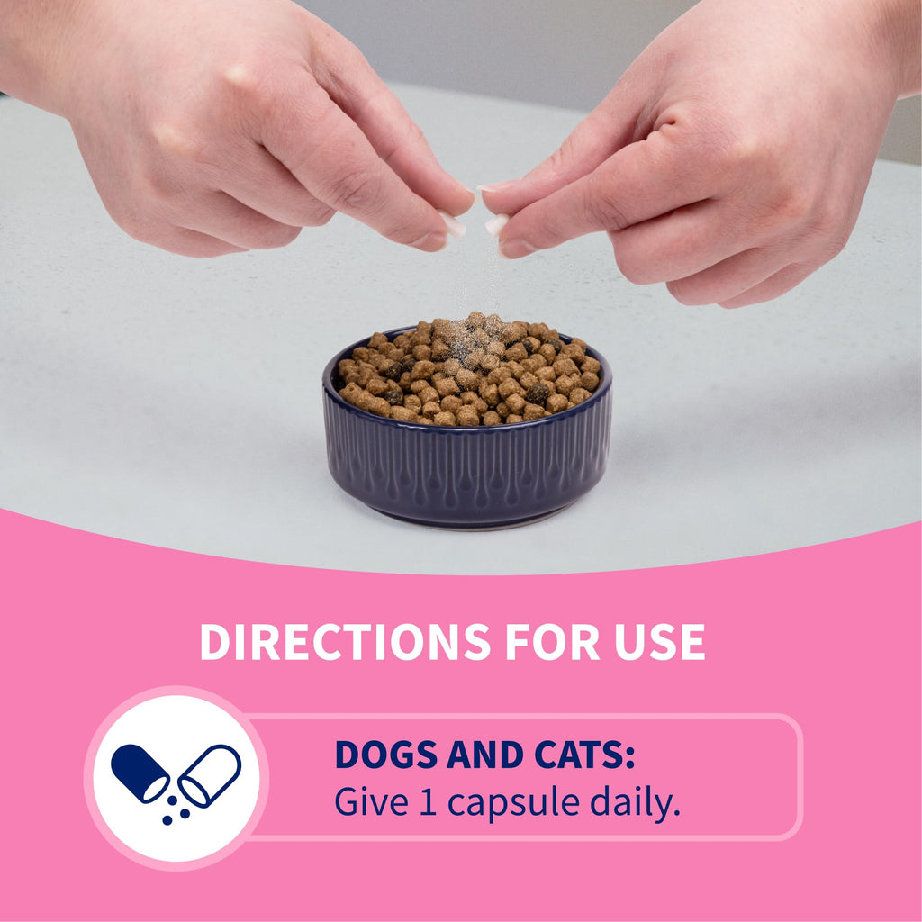 Probiotic Health Supplement for Pets