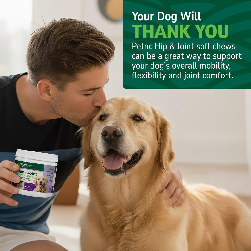 Hip & Joint Support Dog Chews