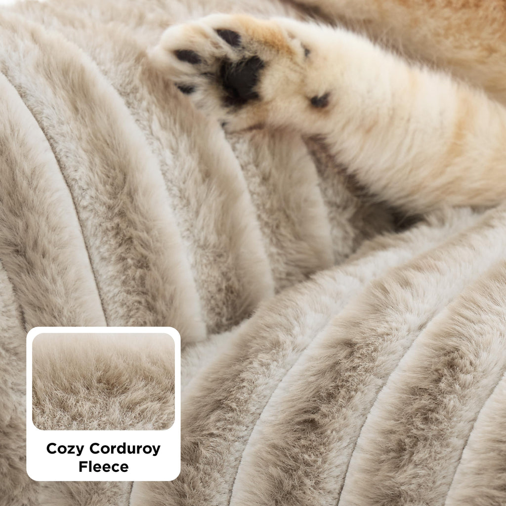 Fluffy Cat Sofa Bed
