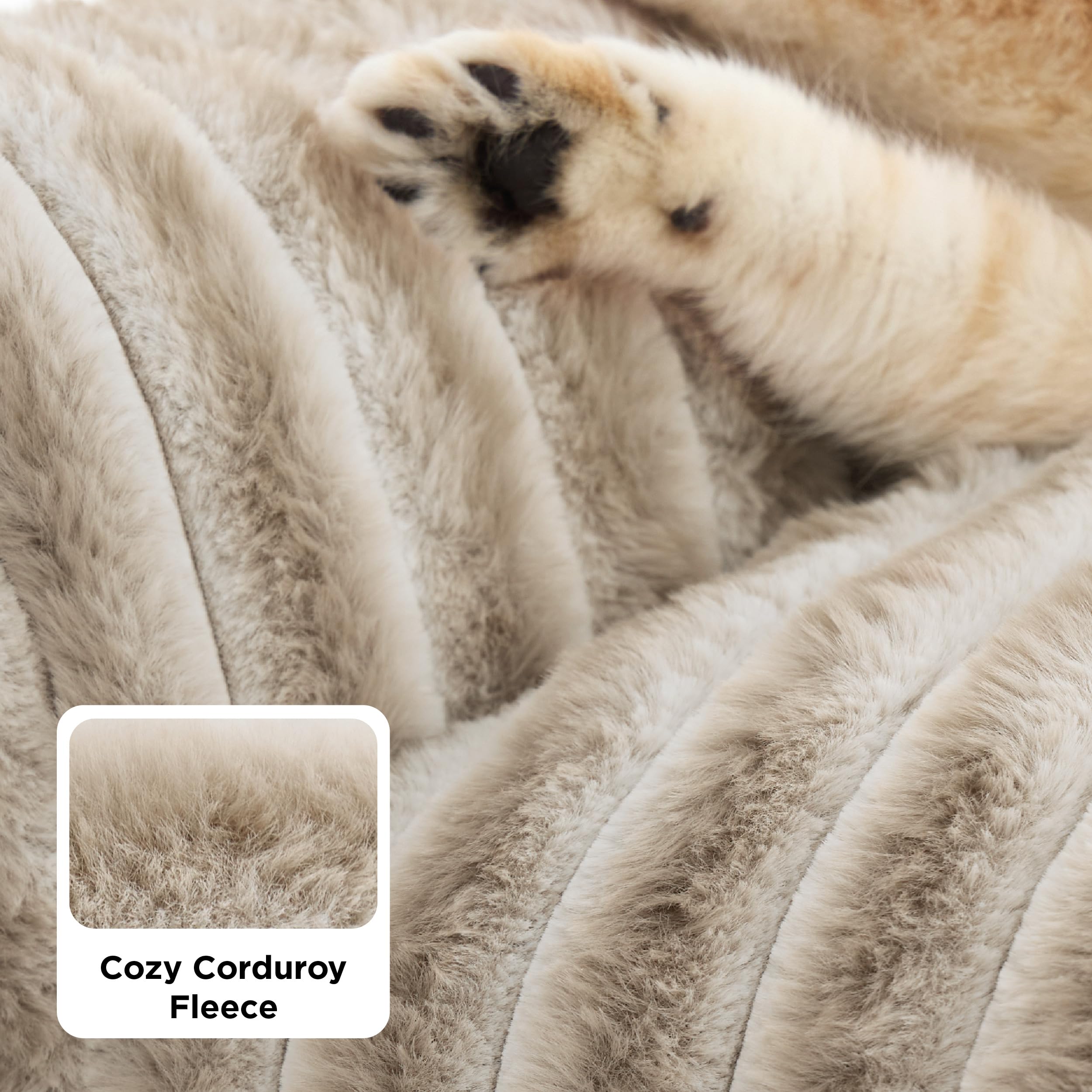 Fluffy Cat Sofa Bed
