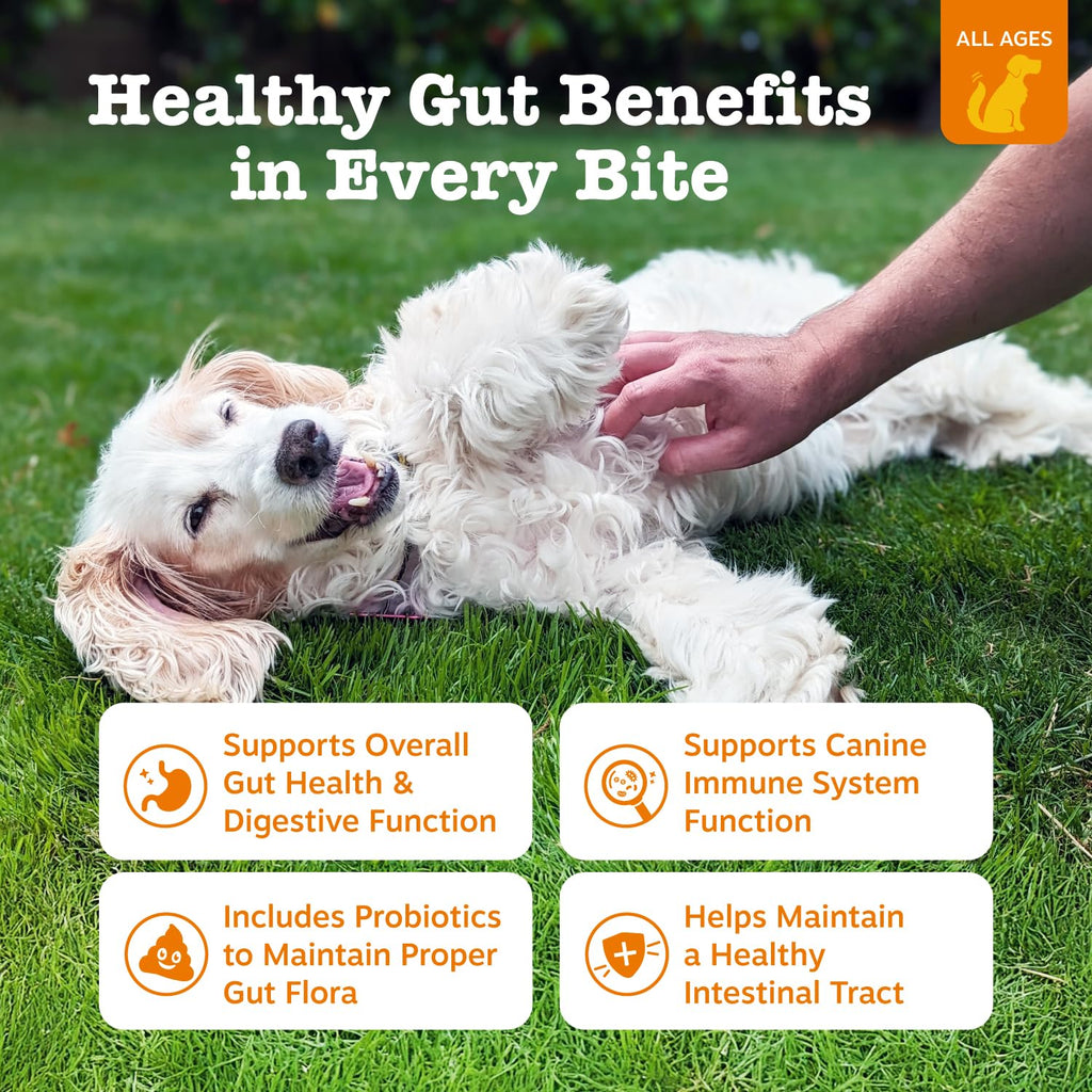 Probiotic & Digestive Enzyme Dog Chews