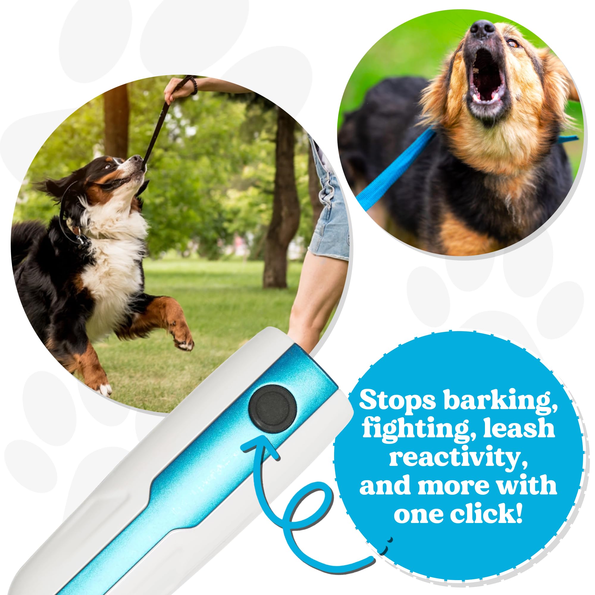 Dog Training Sound Device