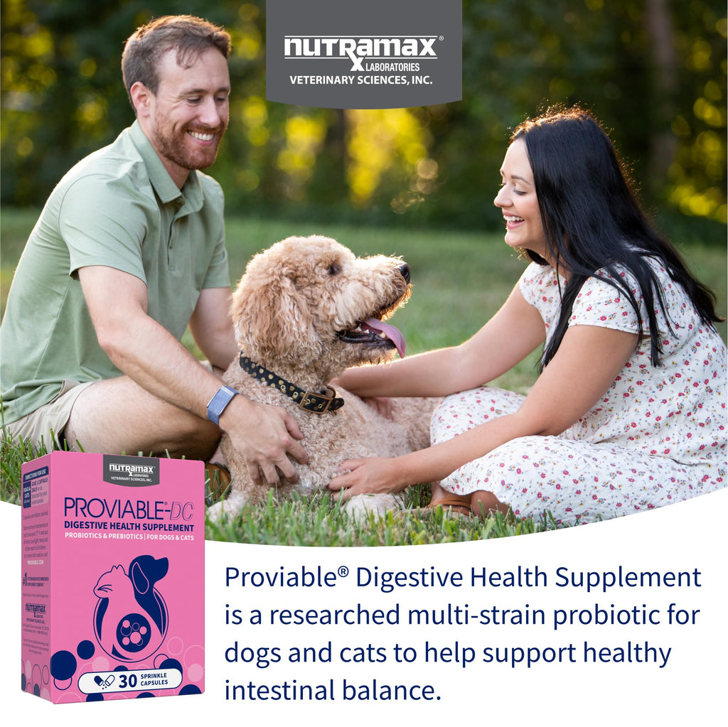 Probiotic Health Supplement for Pets