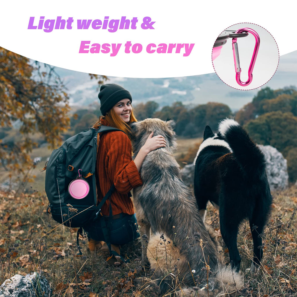 Collapsible Pet Travel Bowls Set