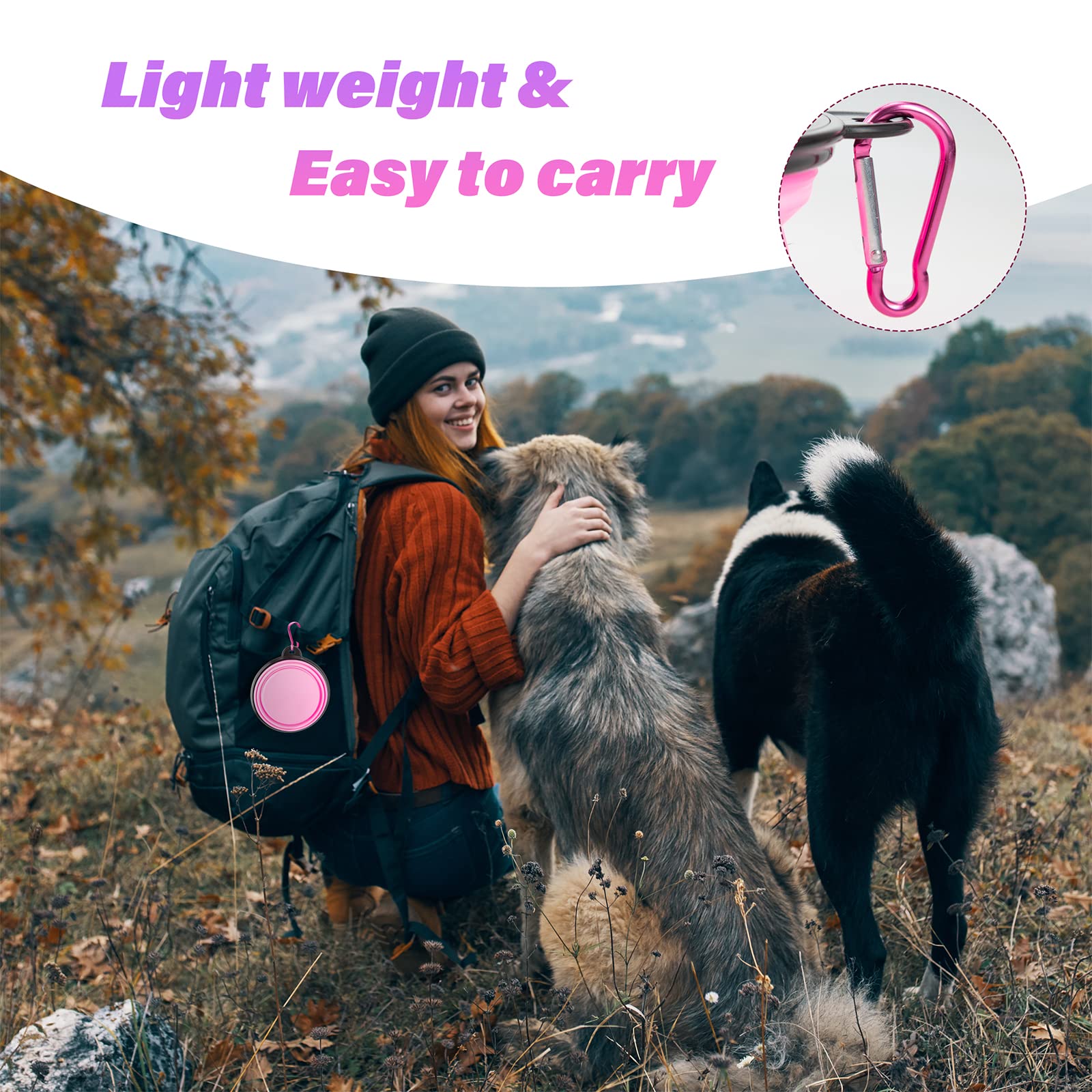 Collapsible Pet Travel Bowls Set