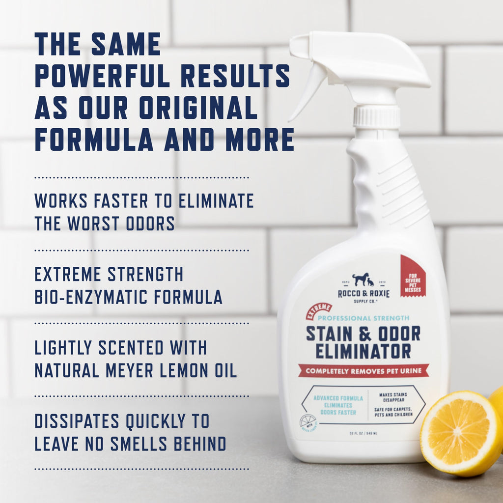 Enzyme Pet Stain & Odor Remover