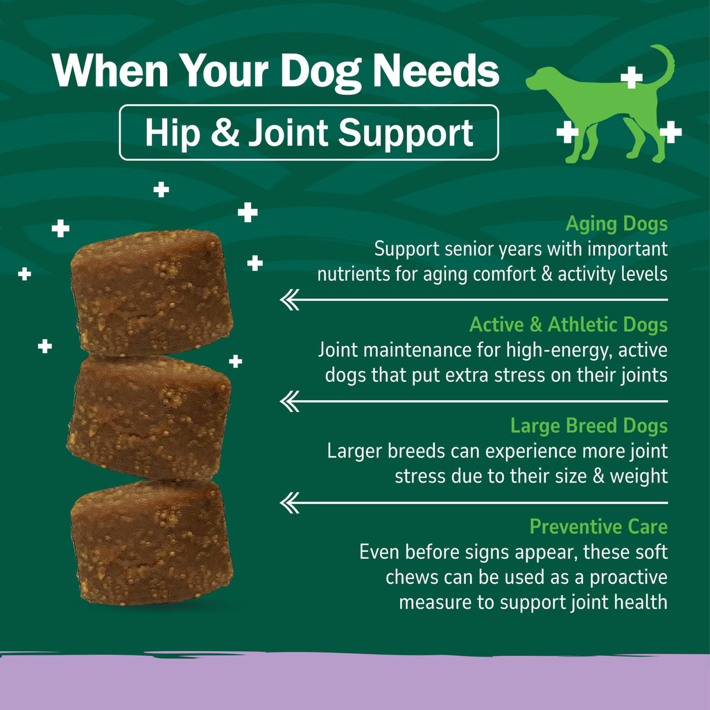 Hip & Joint Support Dog Chews