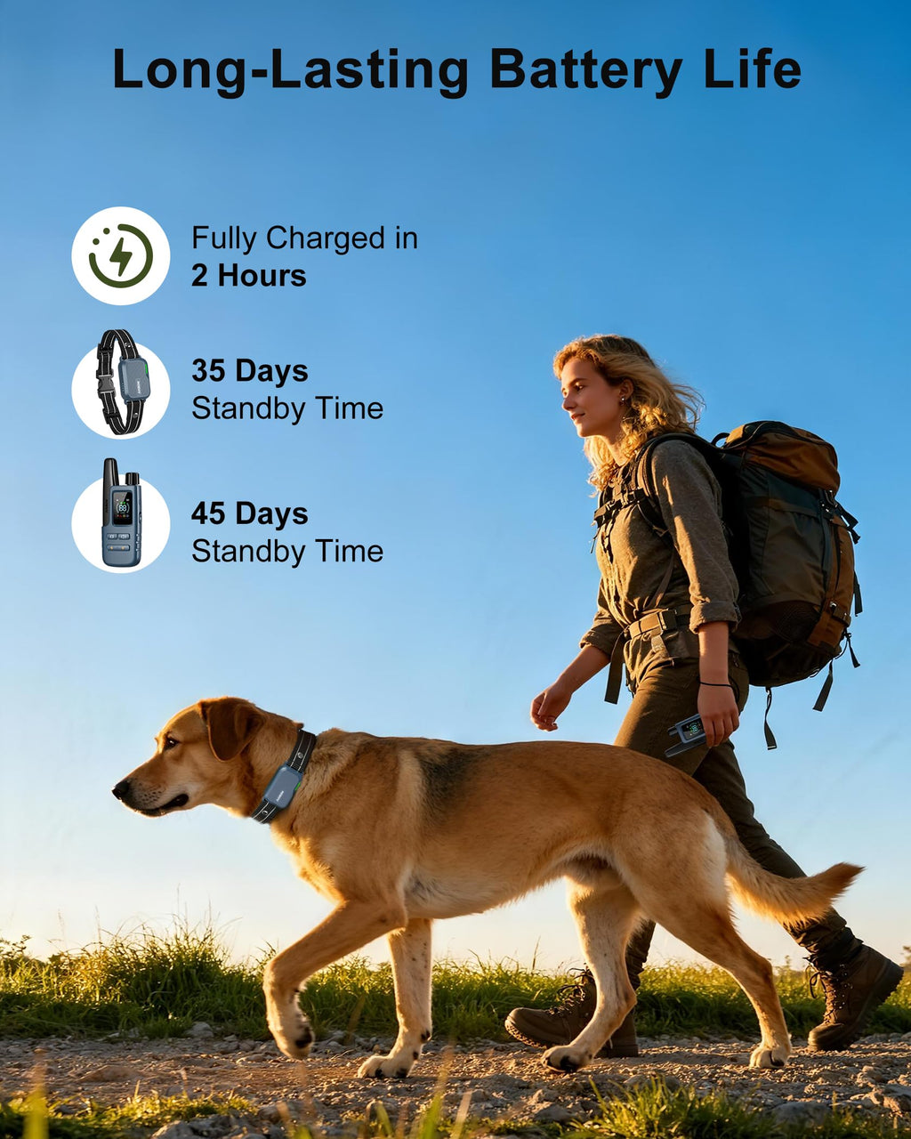Waterproof Remote Dog Training Collar
