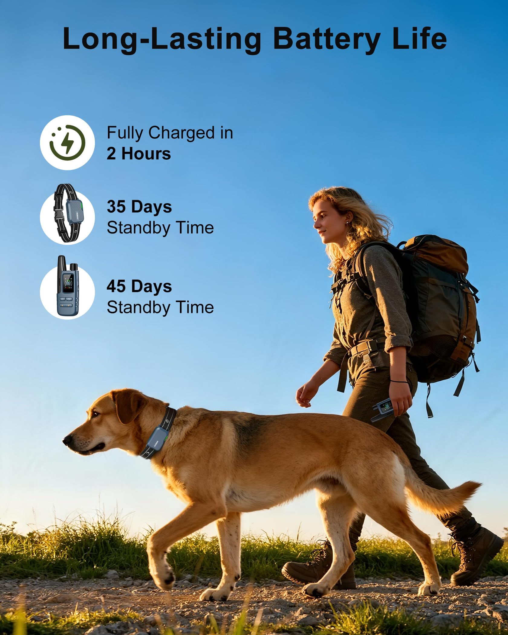 Waterproof Remote Dog Training Collar