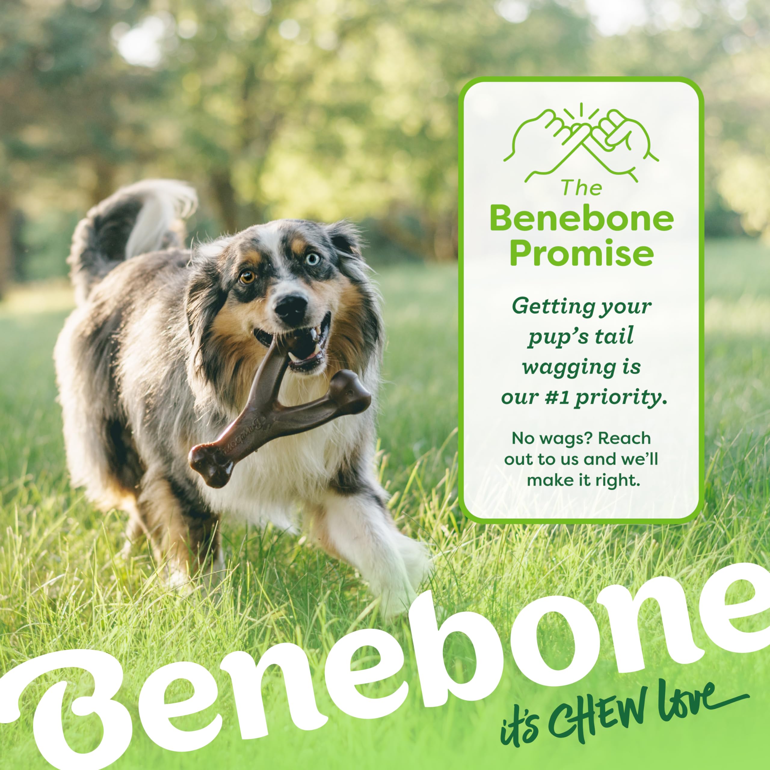 Wishbone Dog Chew Toy