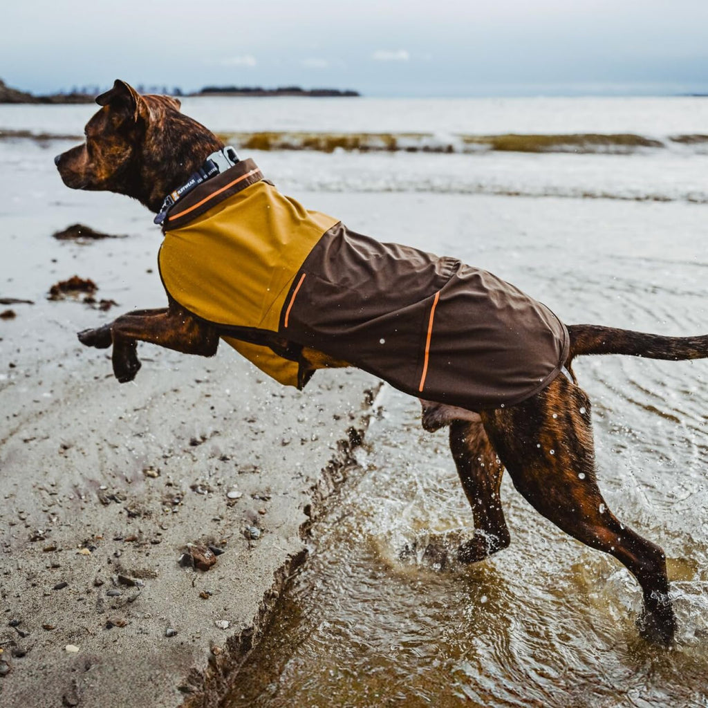 Waterproof Dog Raincoat