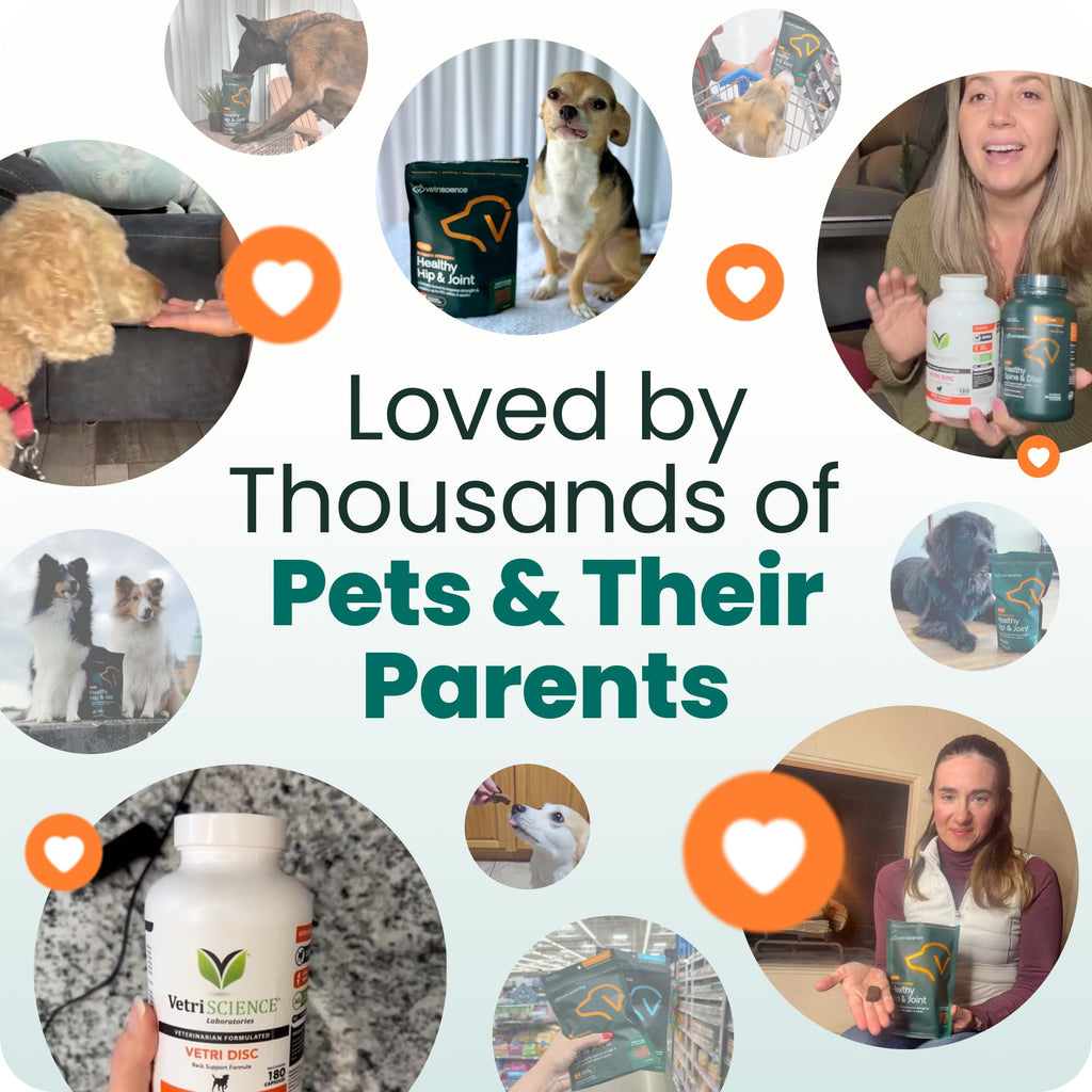 Spine & Disc Support Capsules for Dogs