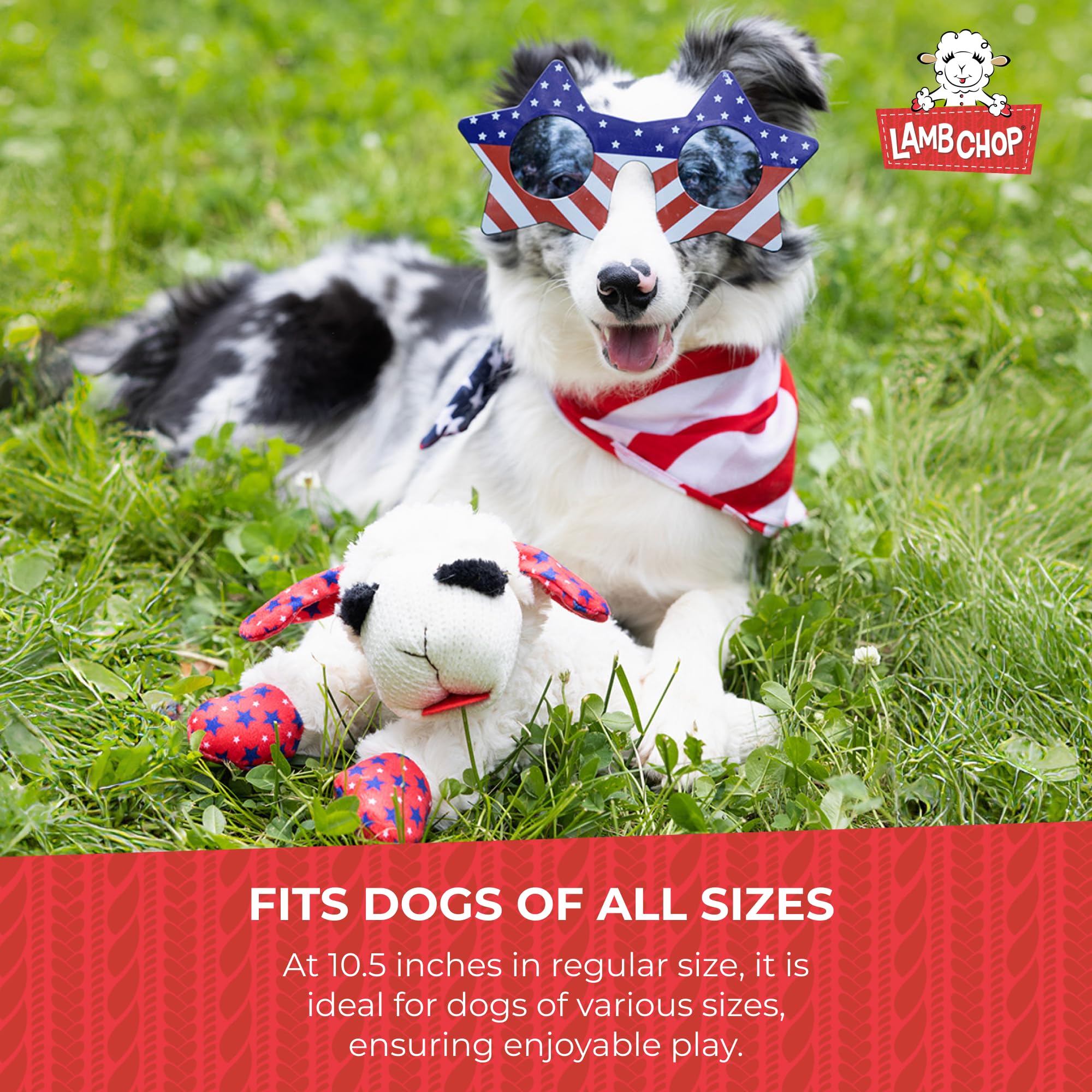 Squeaky Plush Dog Toy