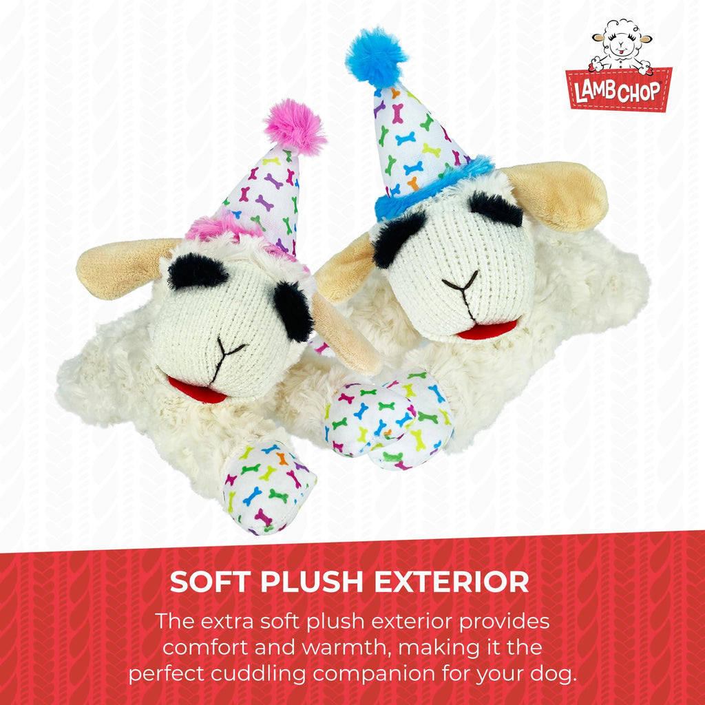 Squeaky Plush Dog Toy