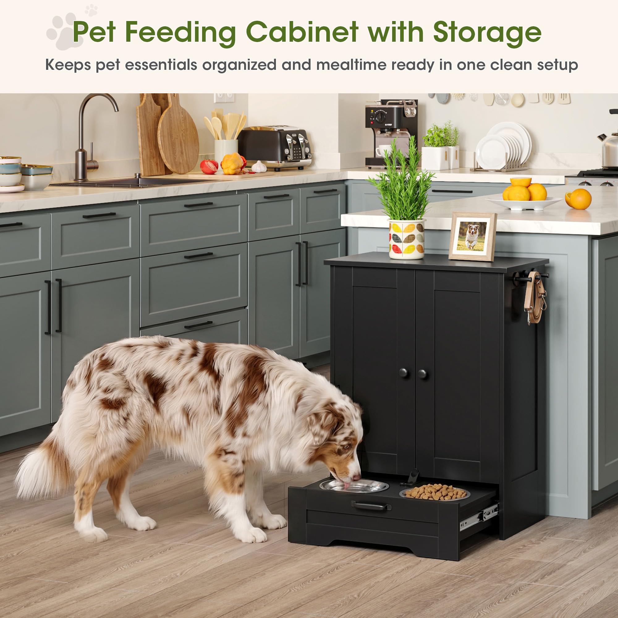 Dog Feeding Station Cabinet